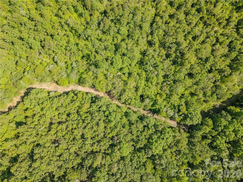 1439 Mount Holly Road Property Photo 3