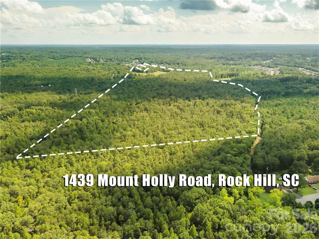 1439 Mount Holly Road Property Photo 6