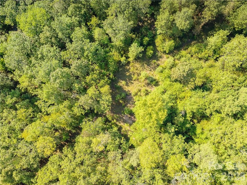 1439 Mount Holly Road Property Photo 16