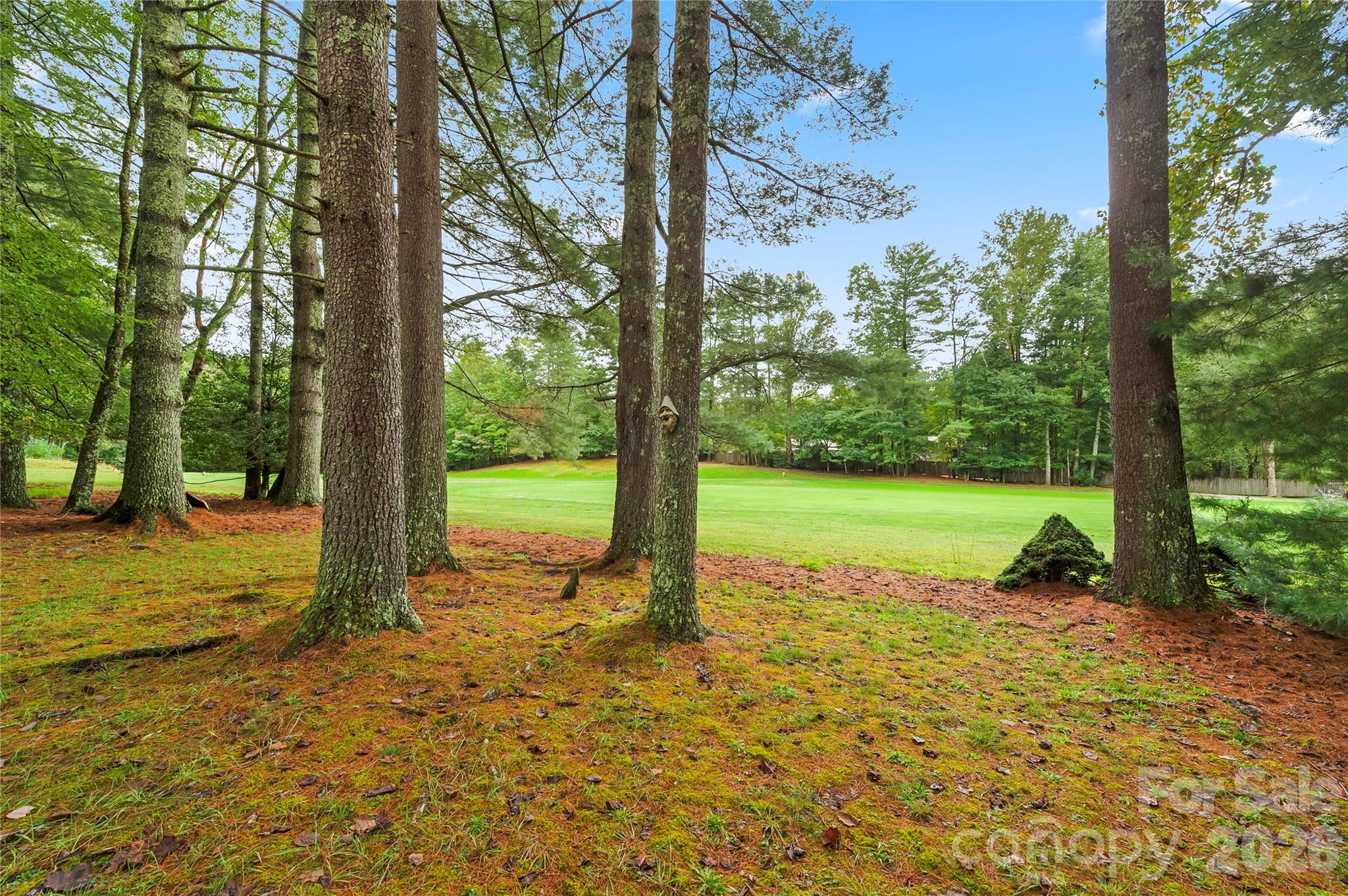 109 Middle Connestee Trail Property Photo 6