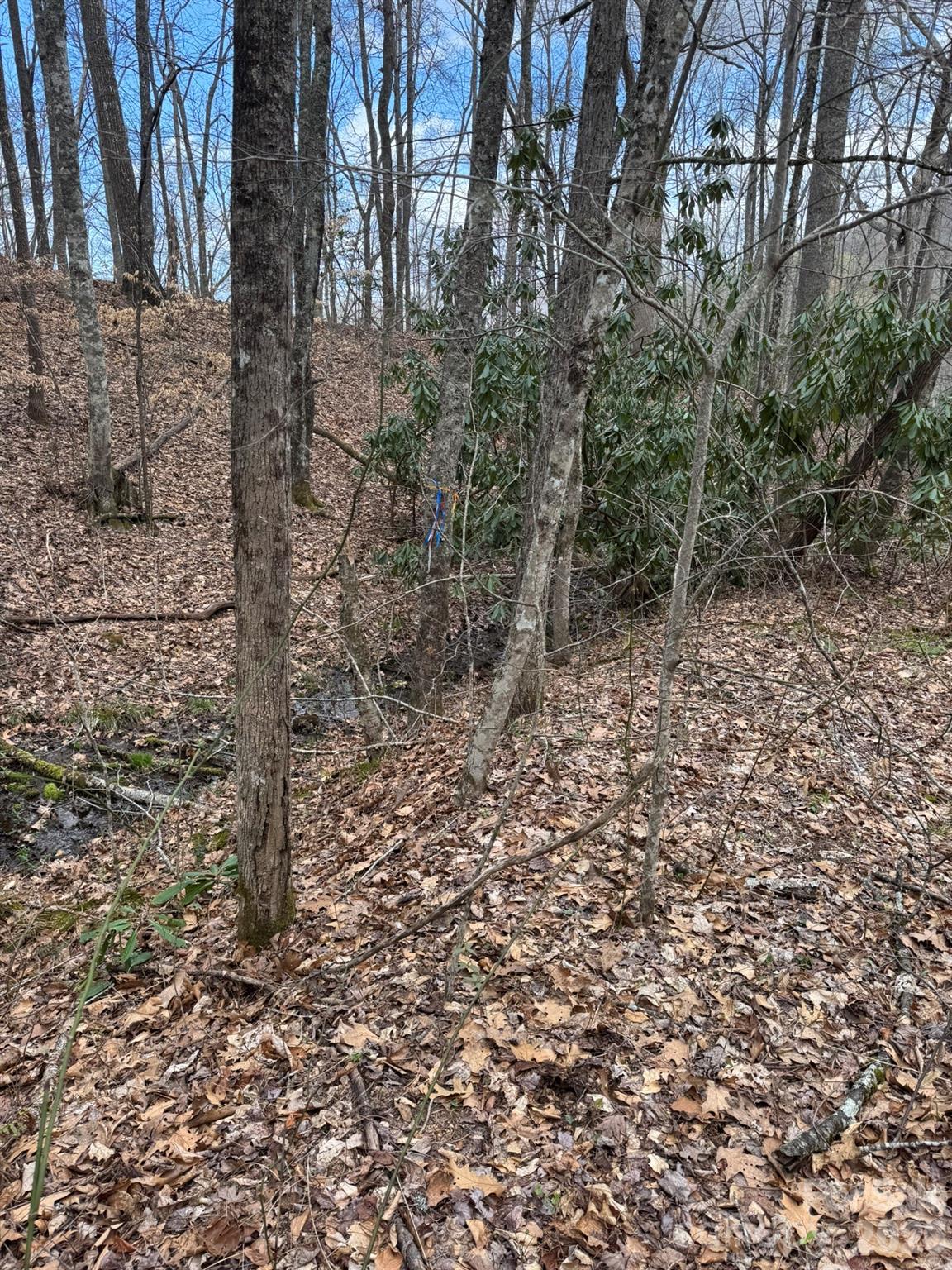 1 E Wabash Drive Property Photo 18