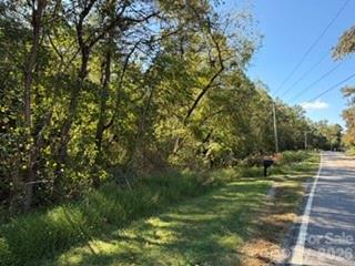 0 Paul Payne Store Road Property Photo 2