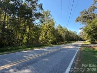 0 Paul Payne Store Road Property Photo 9