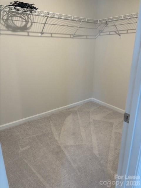 13931 Castle Nook Drive Property Photo 22