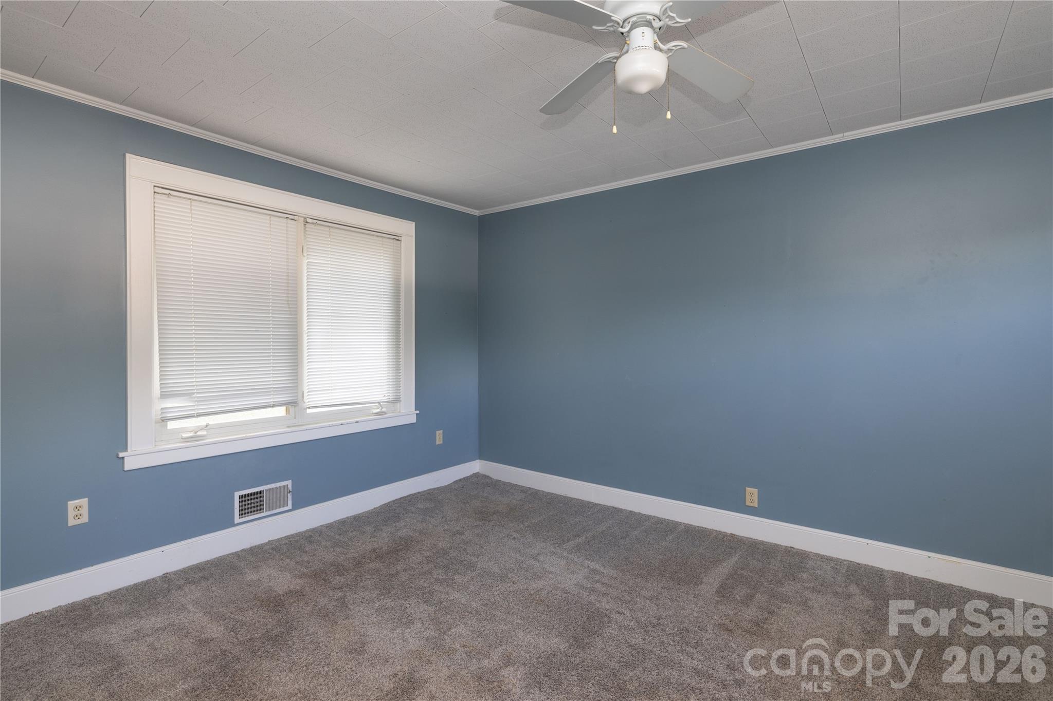 31 Maple Street Property Photo 16