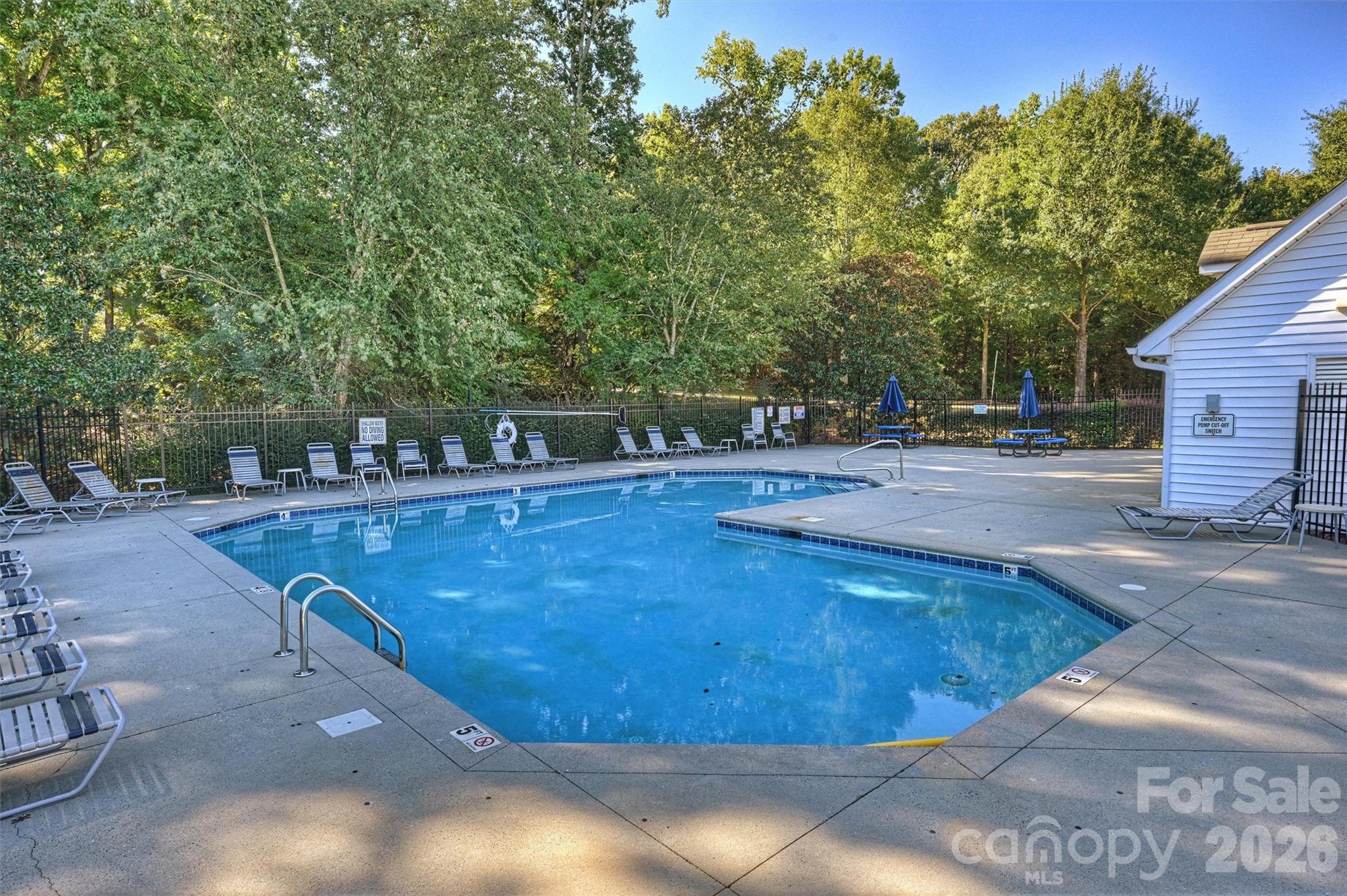 13623 Singleleaf Lane Property Photo 43
