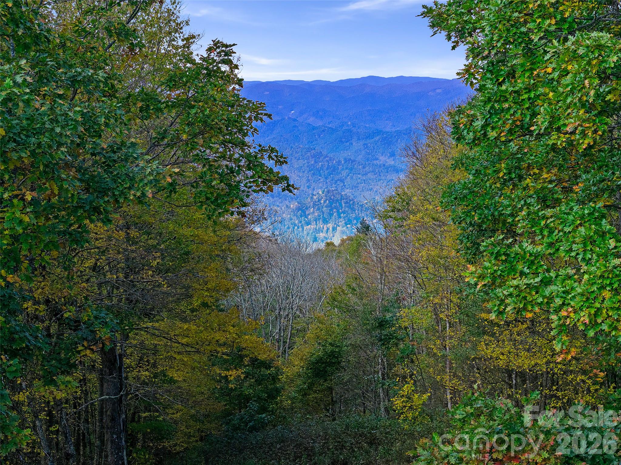99999 Eagle Bald Trail Property Photo 2