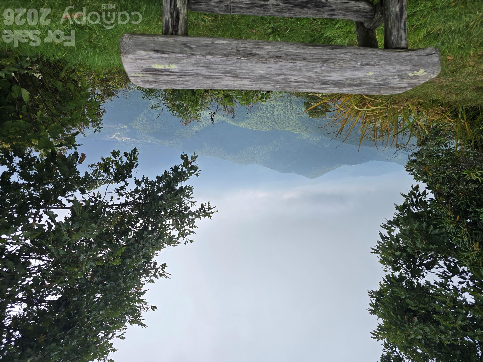 99999 Eagle Bald Trail Property Photo 6