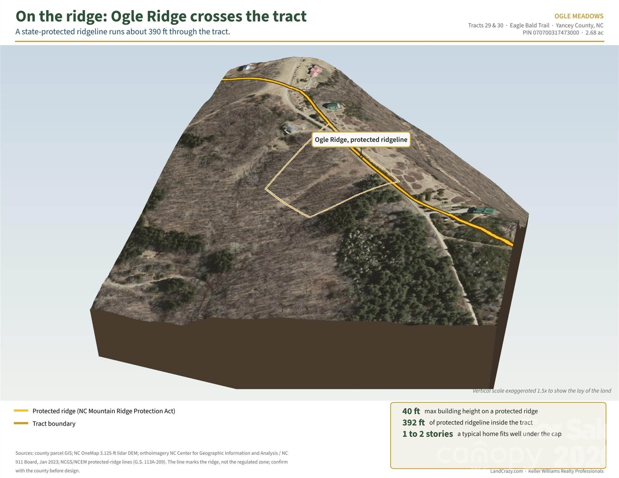99999 Eagle Bald Trail Property Photo 14
