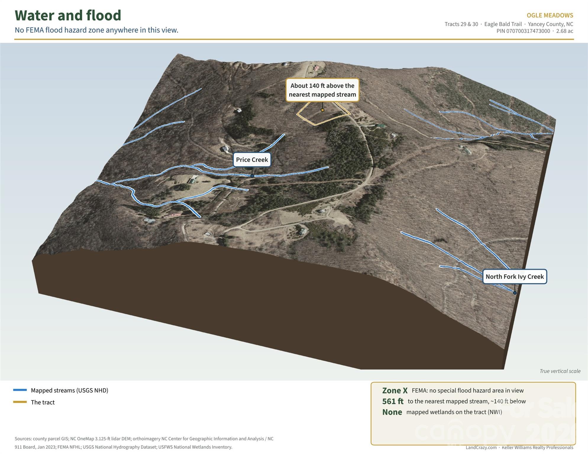 99999 Eagle Bald Trail Property Photo 17