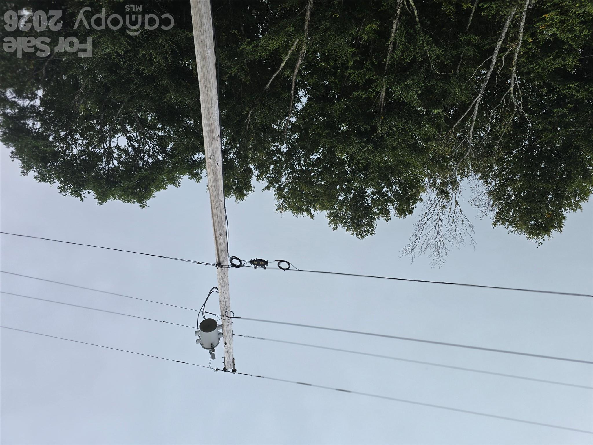 99999 Eagle Bald Trail Property Photo 18