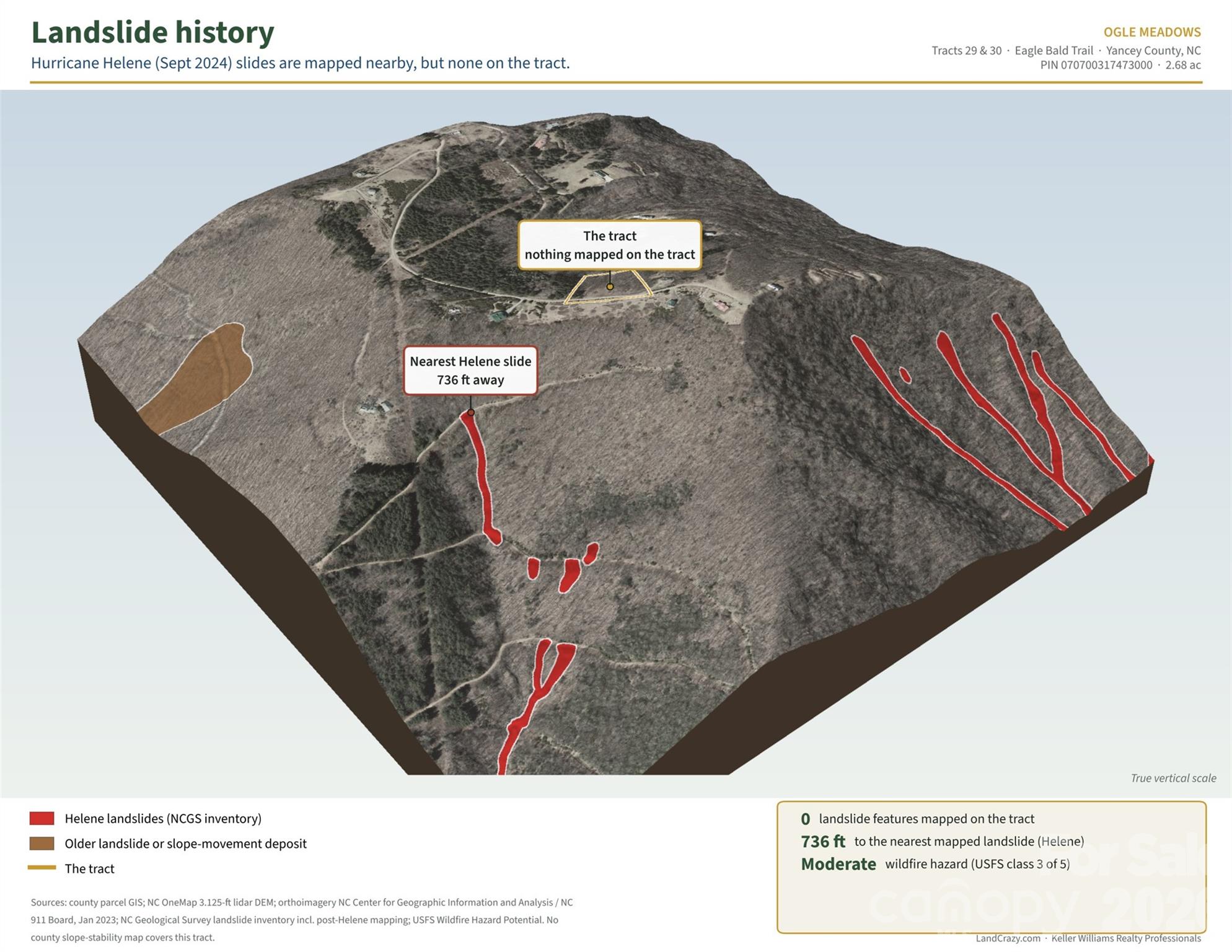 99999 Eagle Bald Trail Property Photo 19