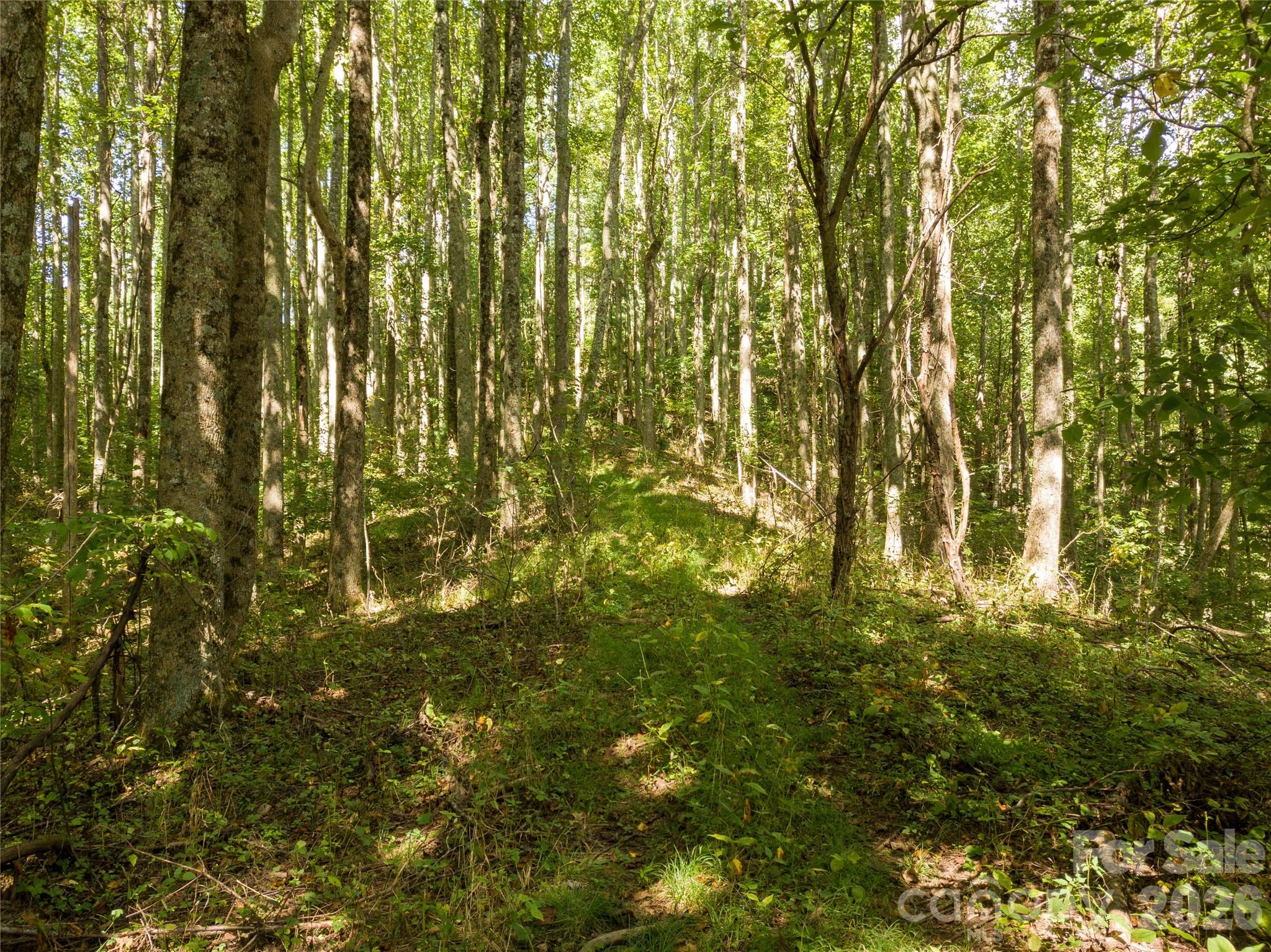 9999 Spillcorn Road Property Photo 3