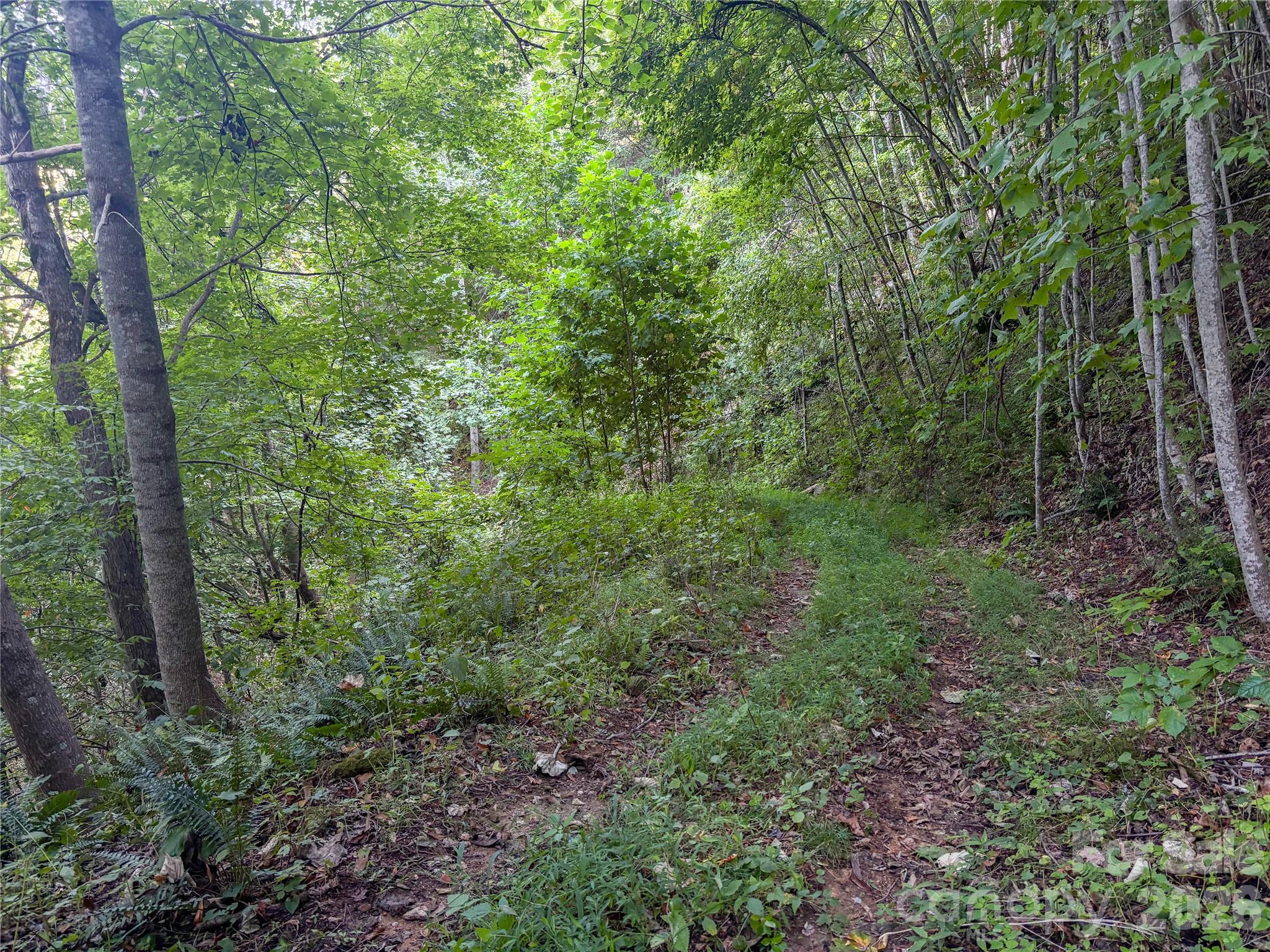 9999 Spillcorn Road Property Photo 4