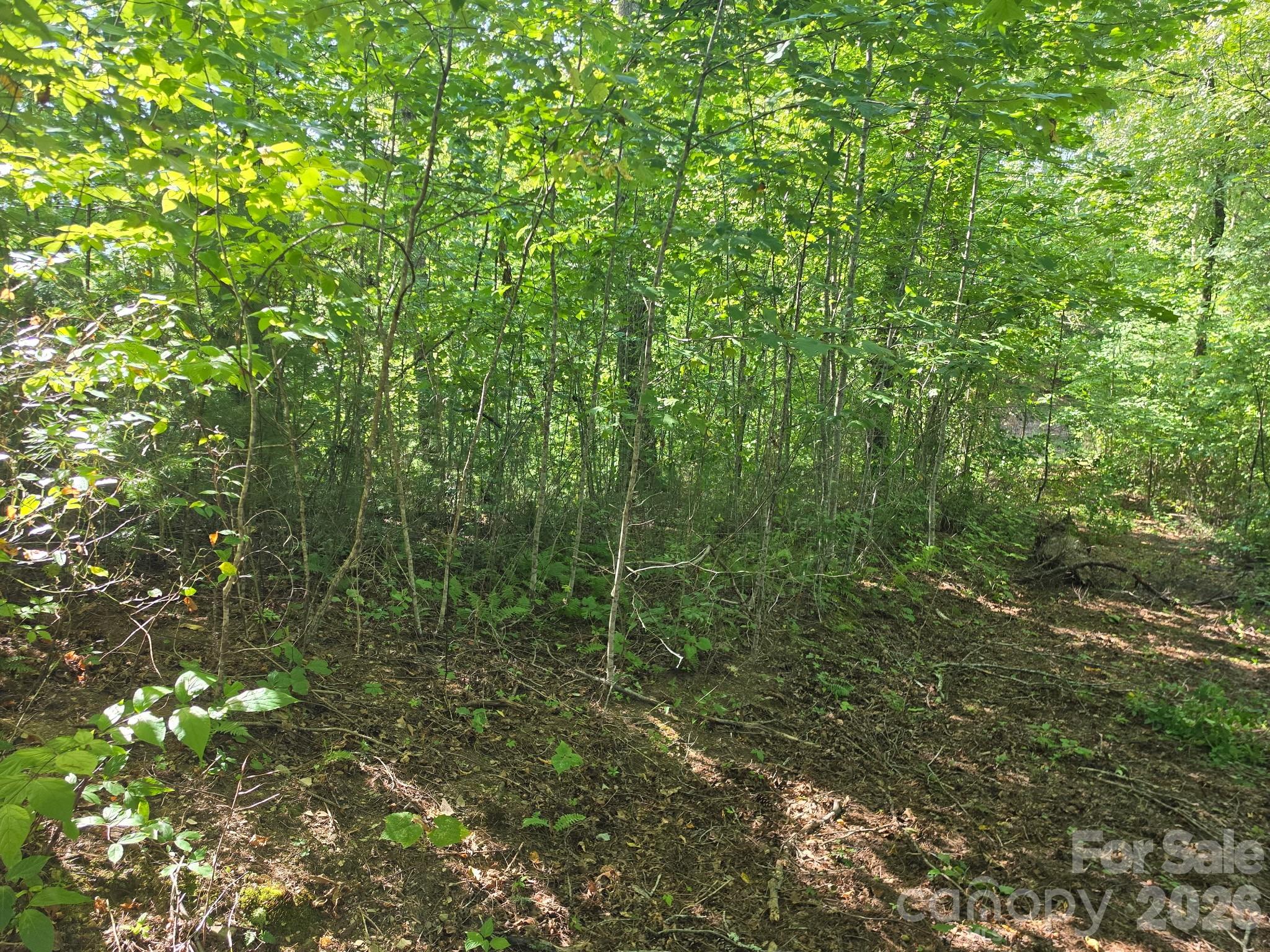 9999 Spillcorn Road Property Photo 7