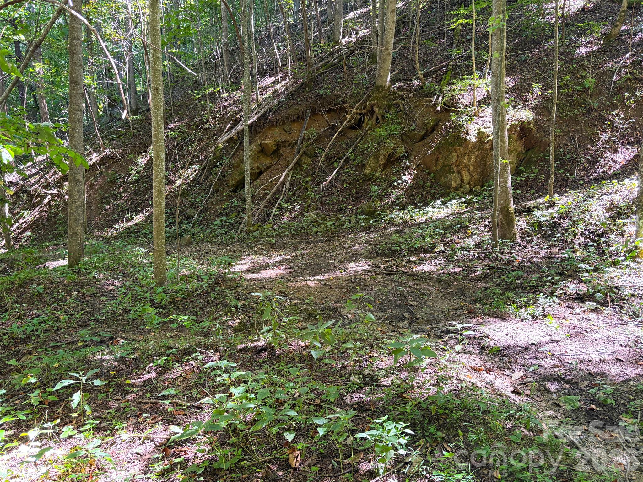 9999 Spillcorn Road Property Photo 8