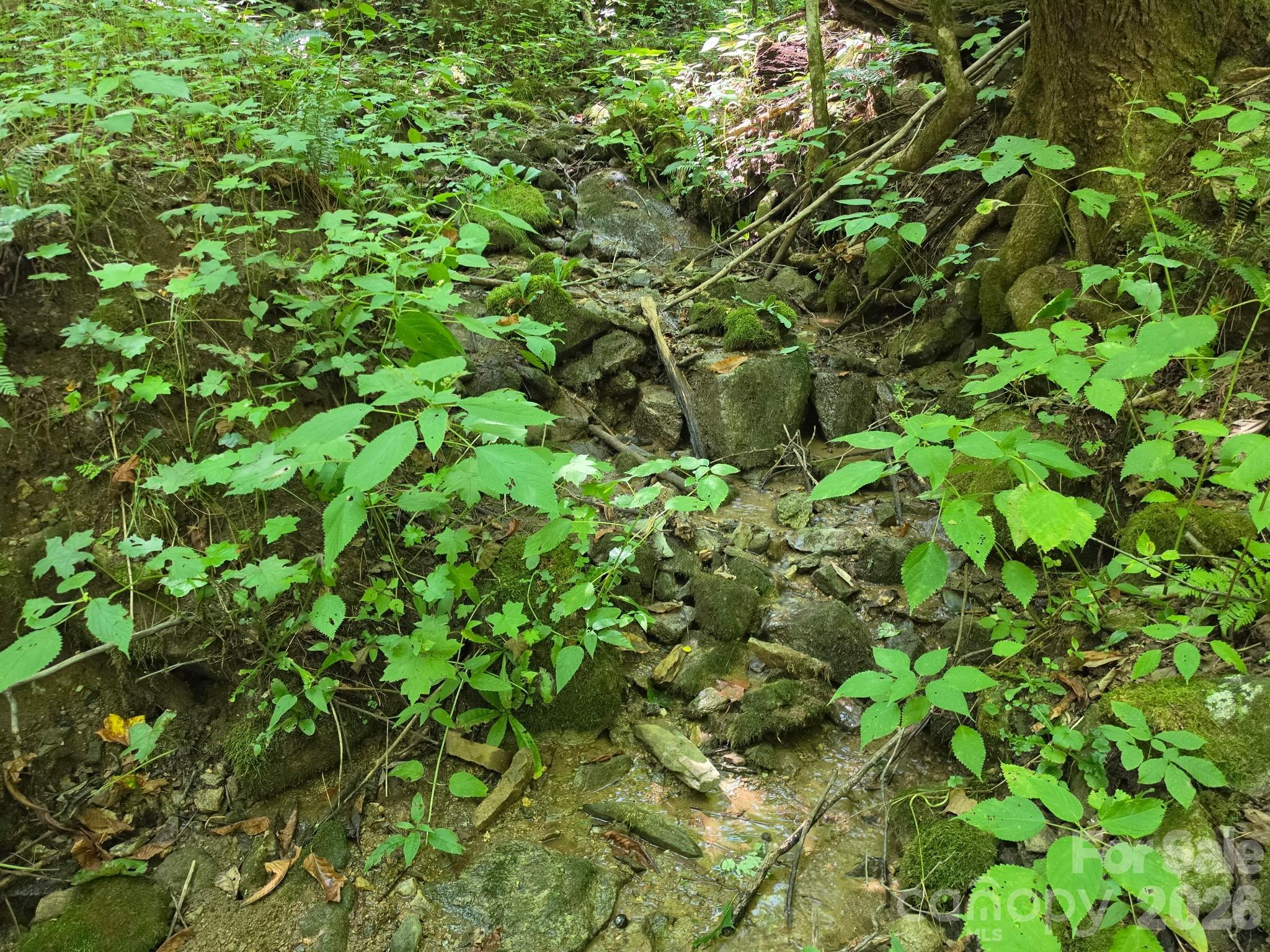 9999 Spillcorn Road Property Photo 10