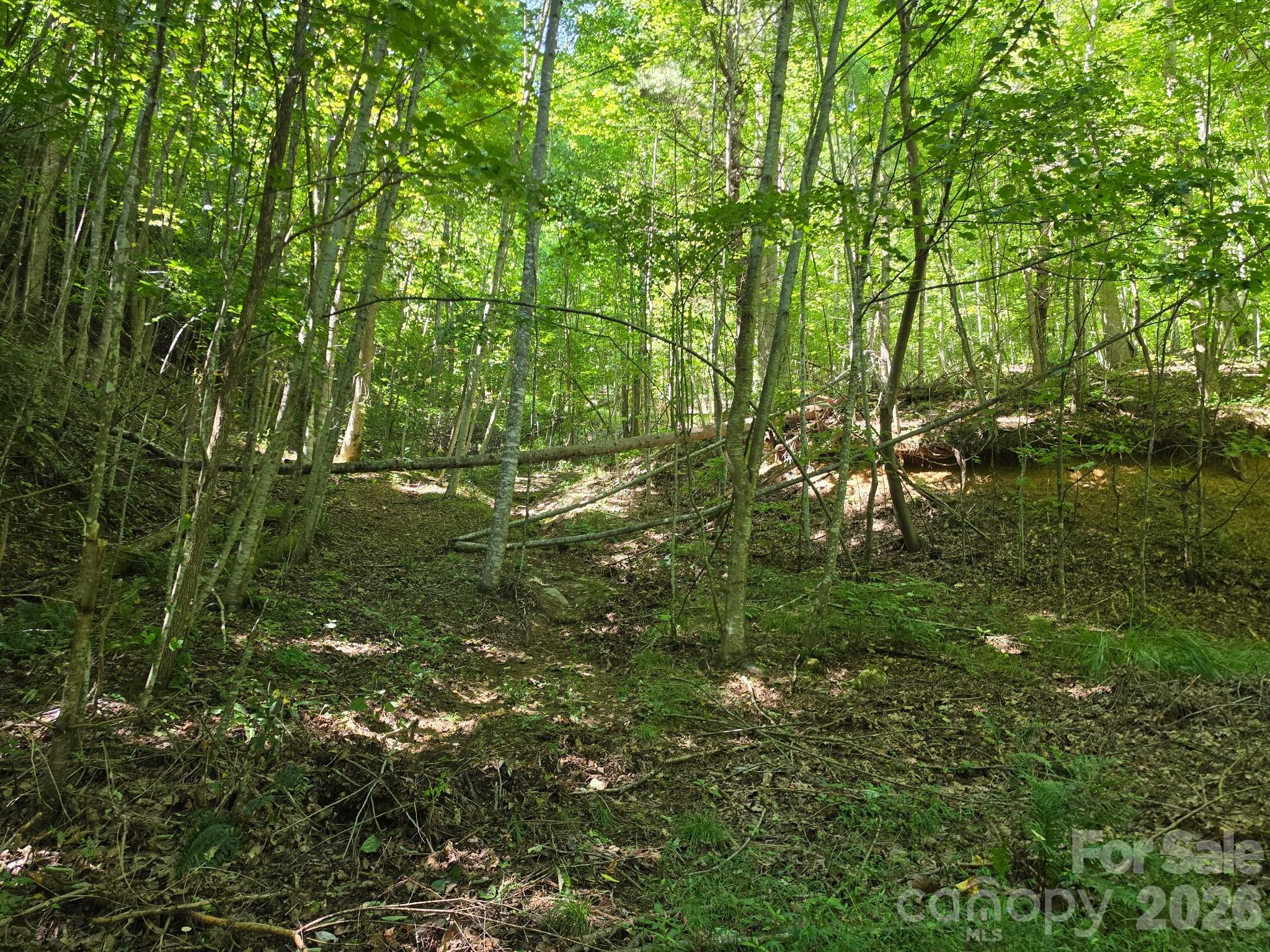 9999 Spillcorn Road Property Photo 14