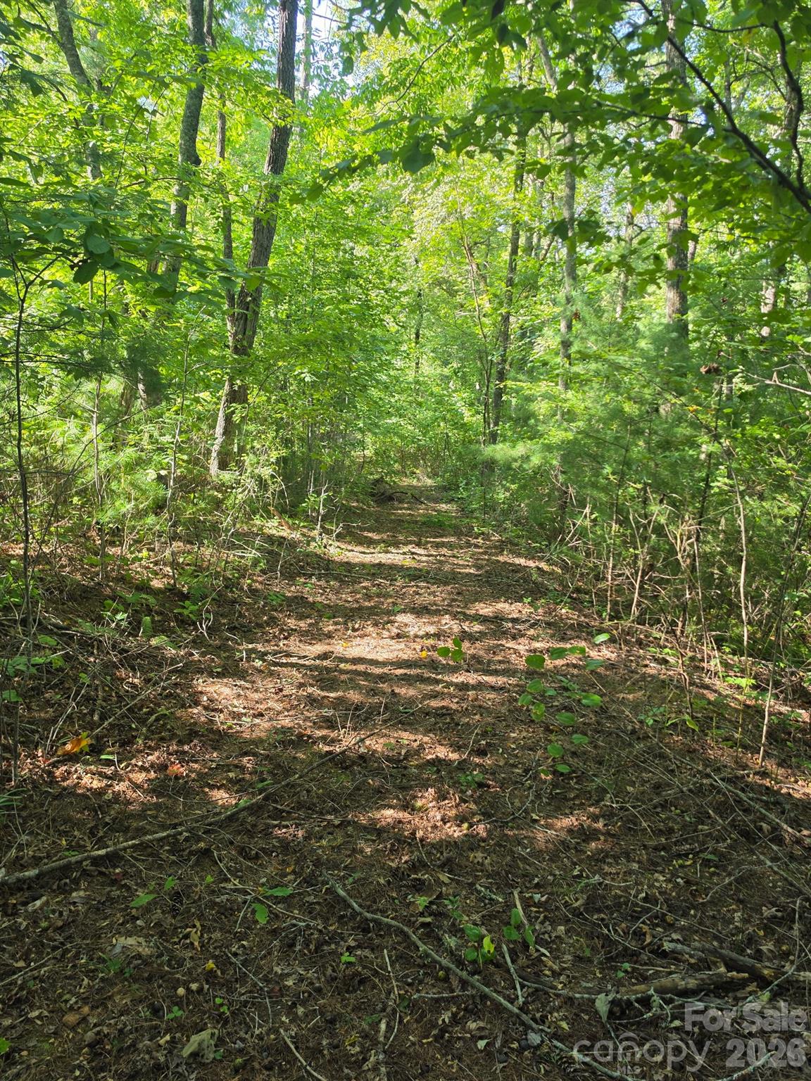9999 Spillcorn Road Property Photo 19