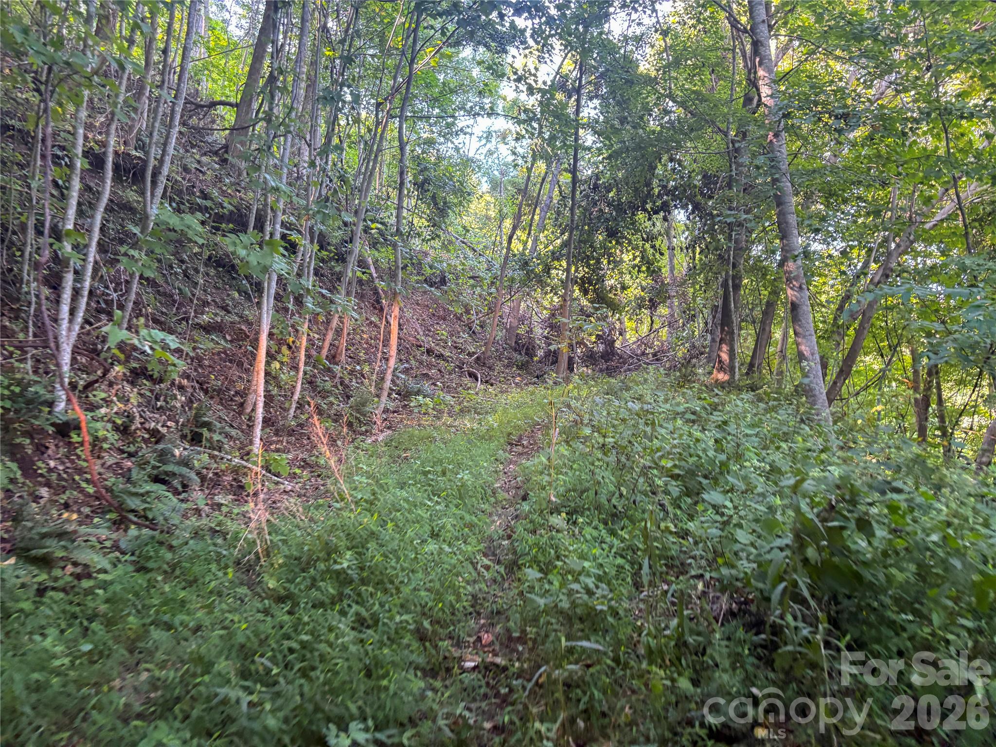 9999 Spillcorn Road Property Photo 21