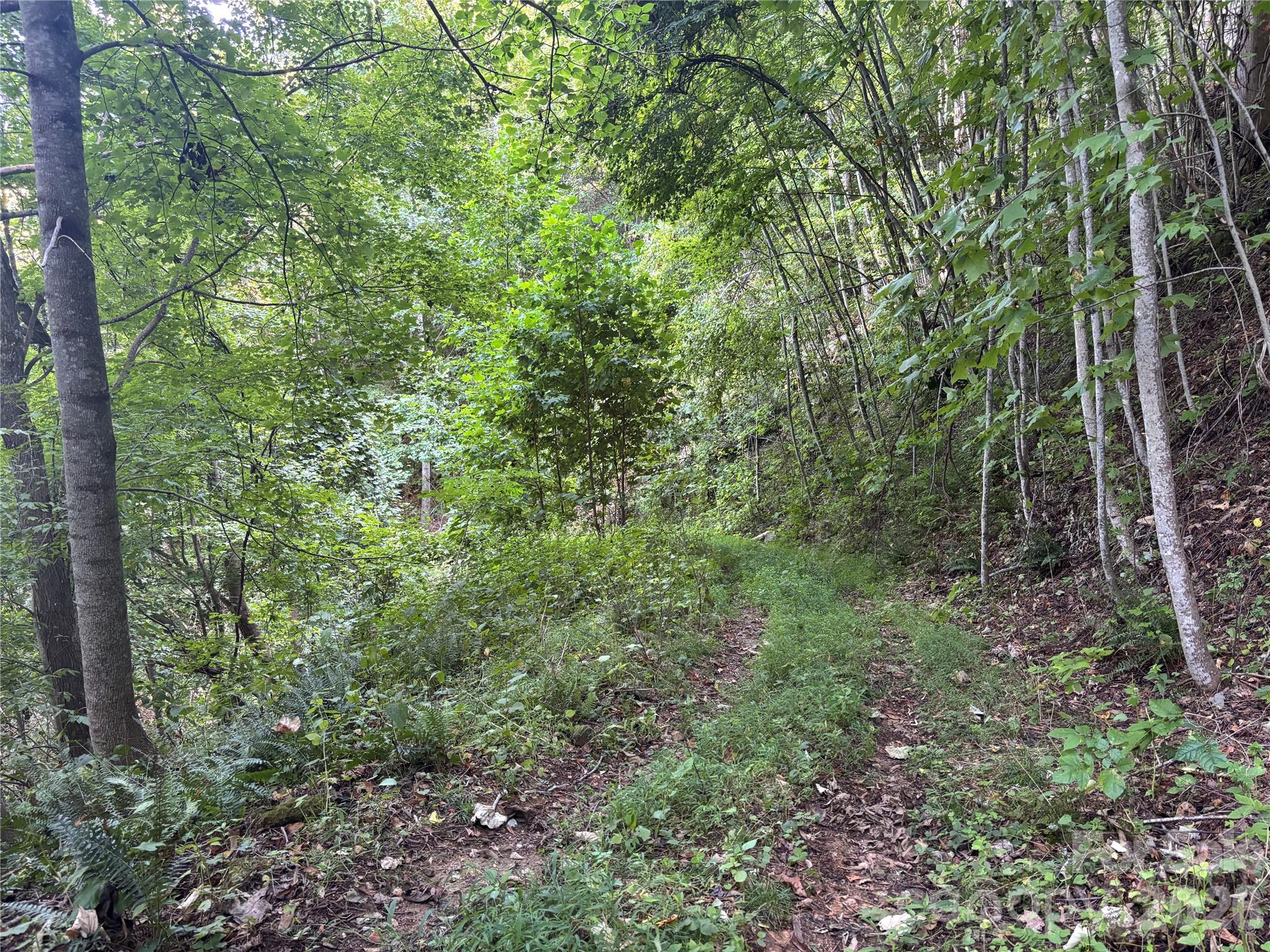 9999 Spillcorn Road Property Photo 22