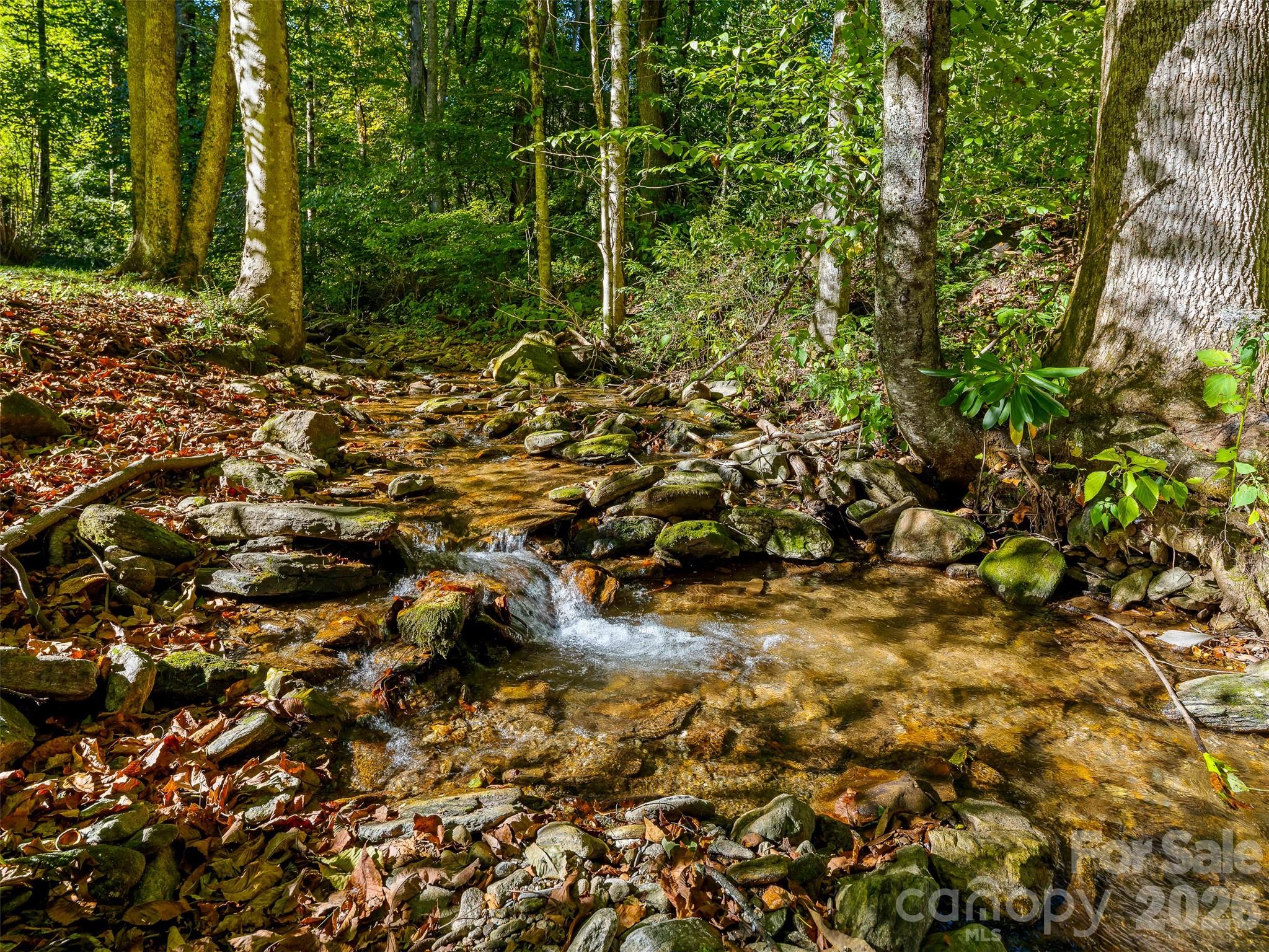 537 Winchester Creek Road Property Photo 15