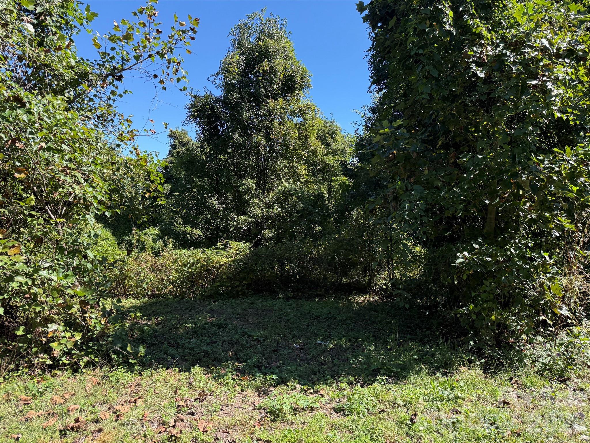 Lot 4 Bronco Pass Property Photo 3