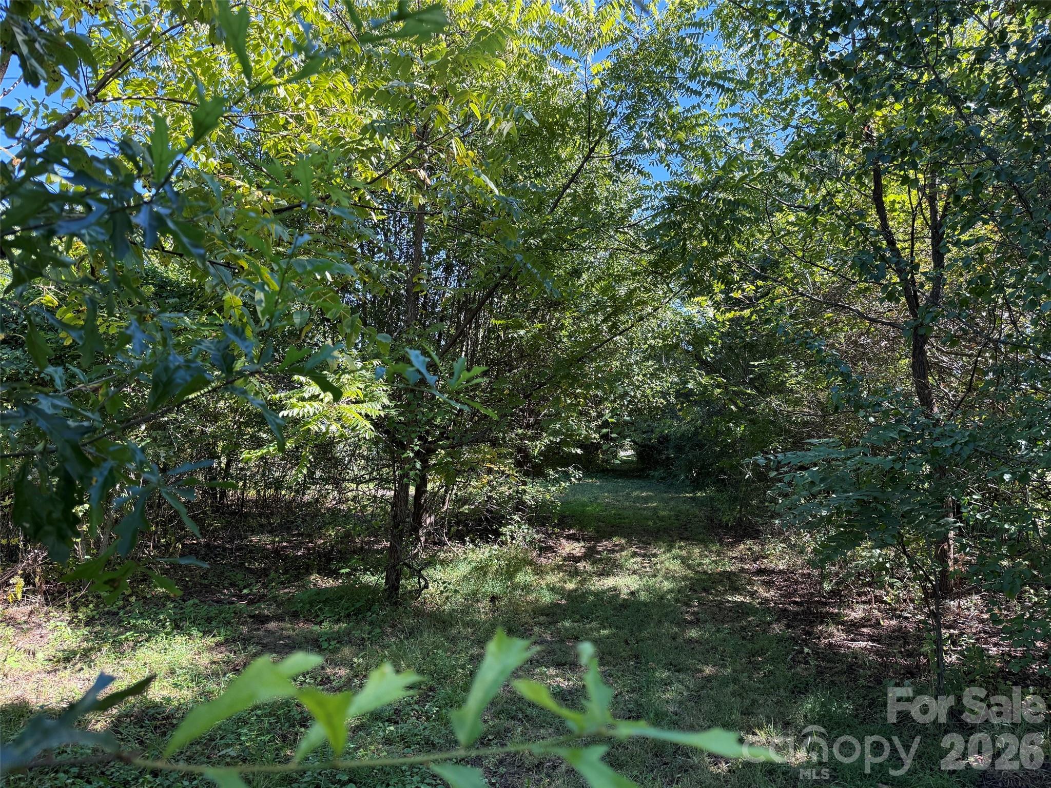 Lot 4 Bronco Pass Property Photo 4