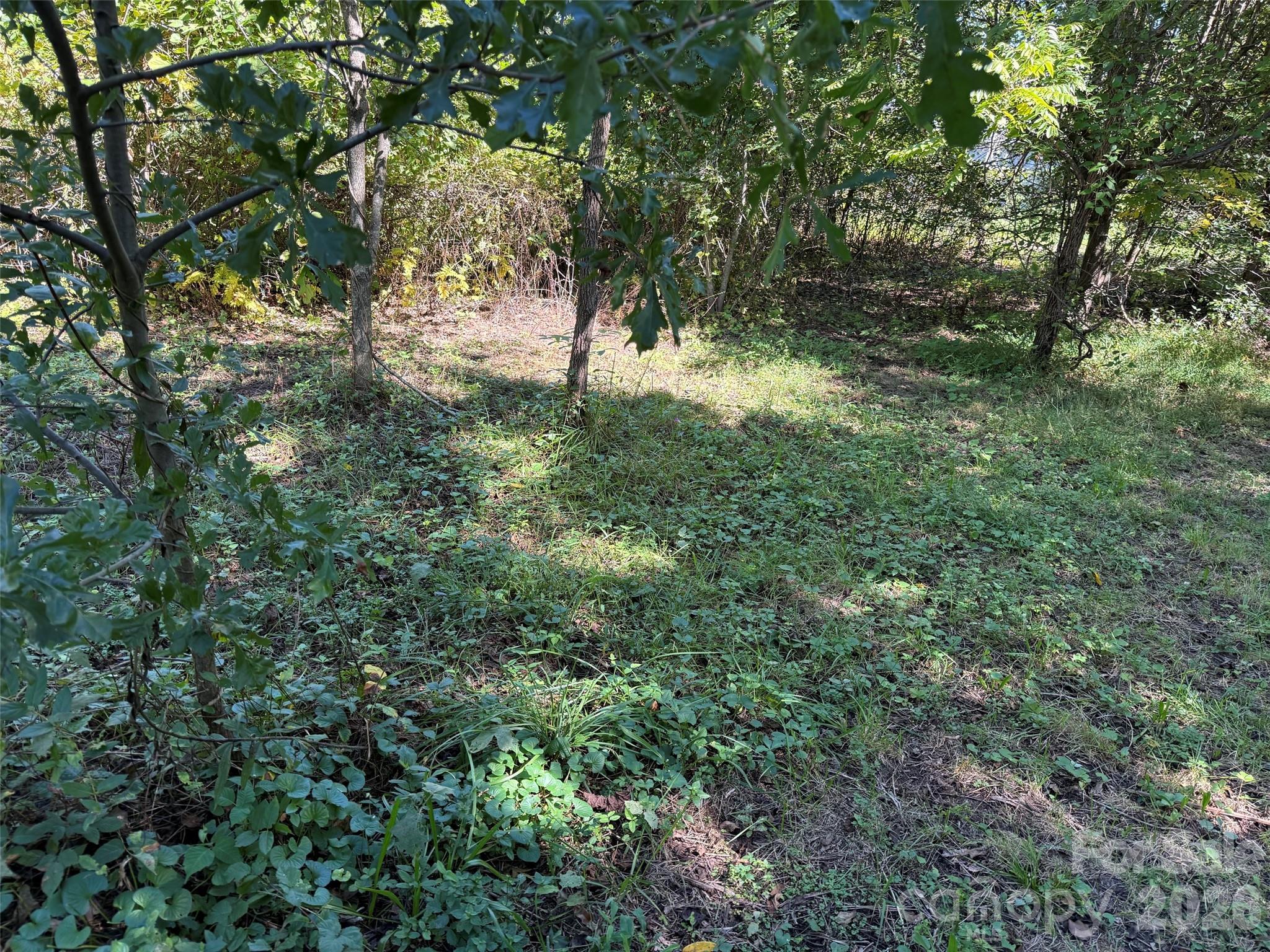Lot 4 Bronco Pass Property Photo 5