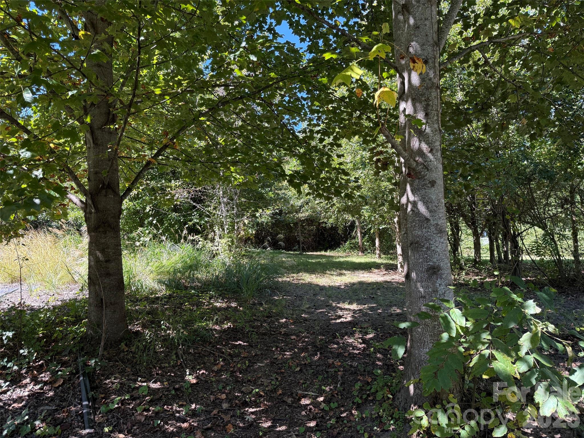 Lot A Bronco Pass Property Photo 2