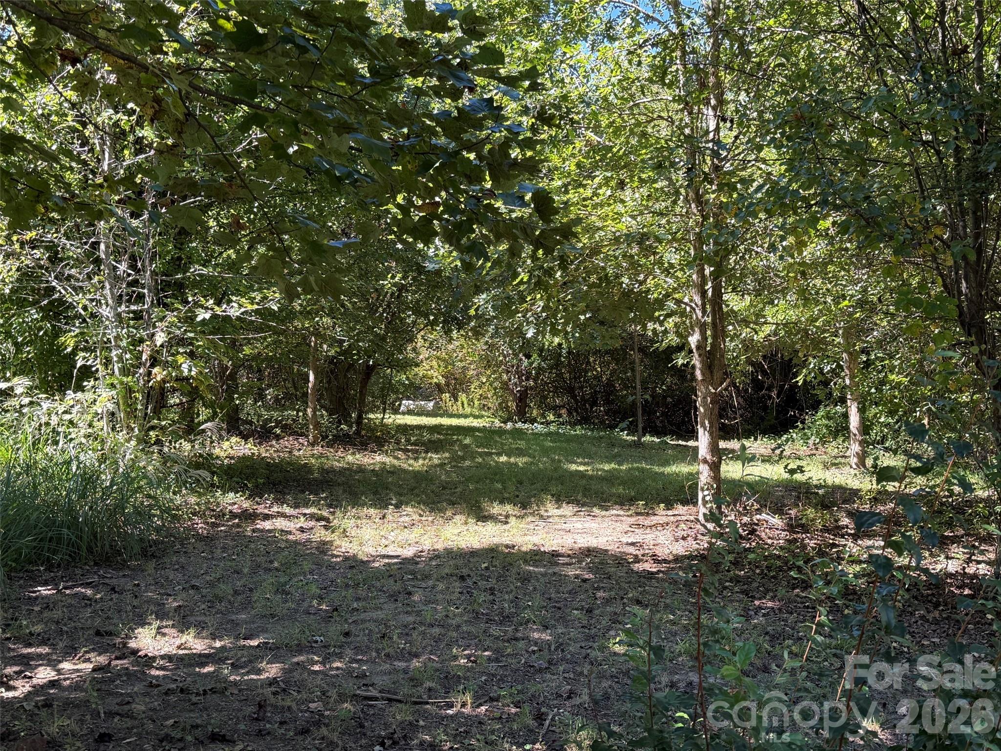 Lot A Bronco Pass Property Photo 3