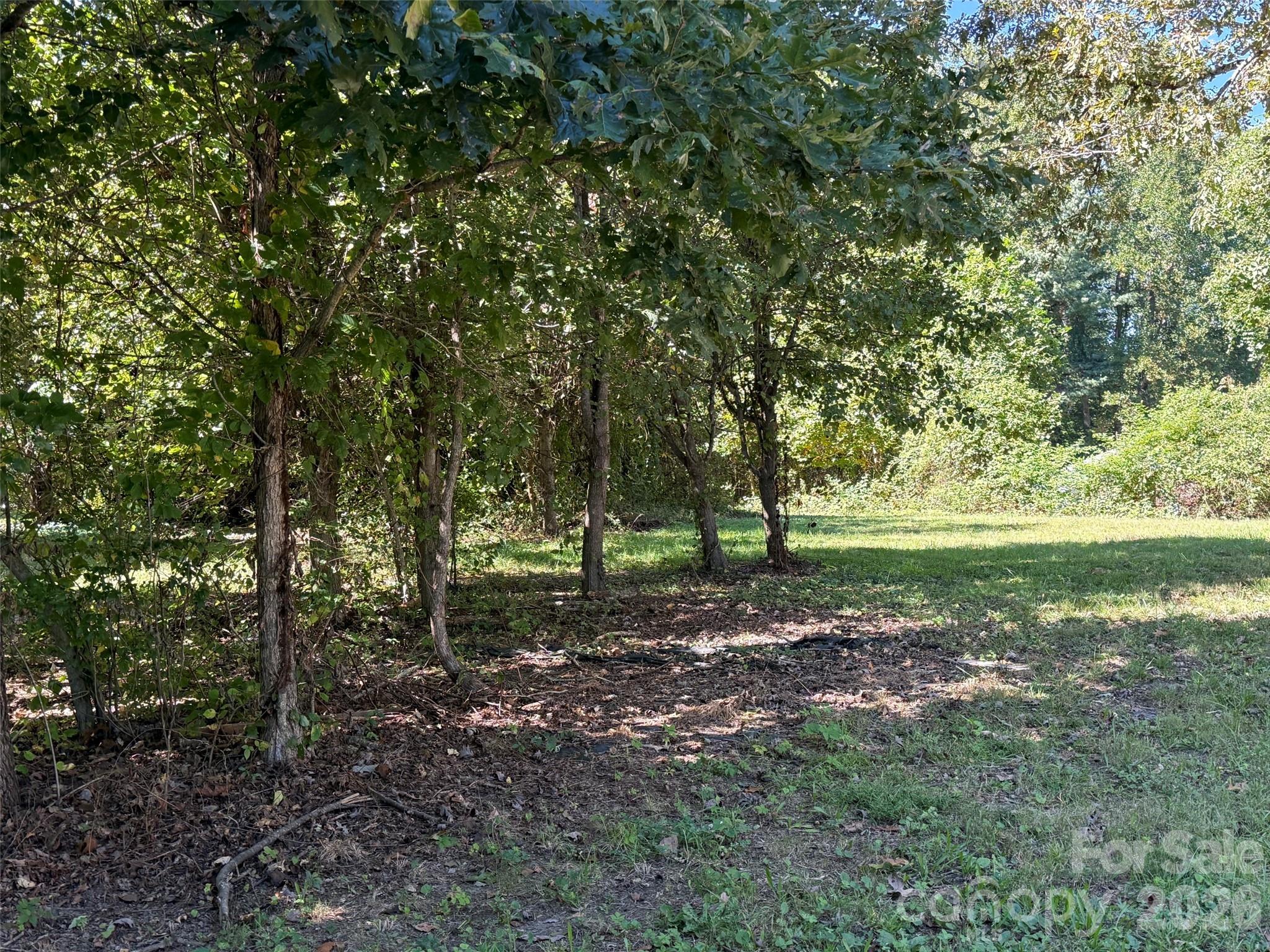 Lot A Bronco Pass Property Photo 4