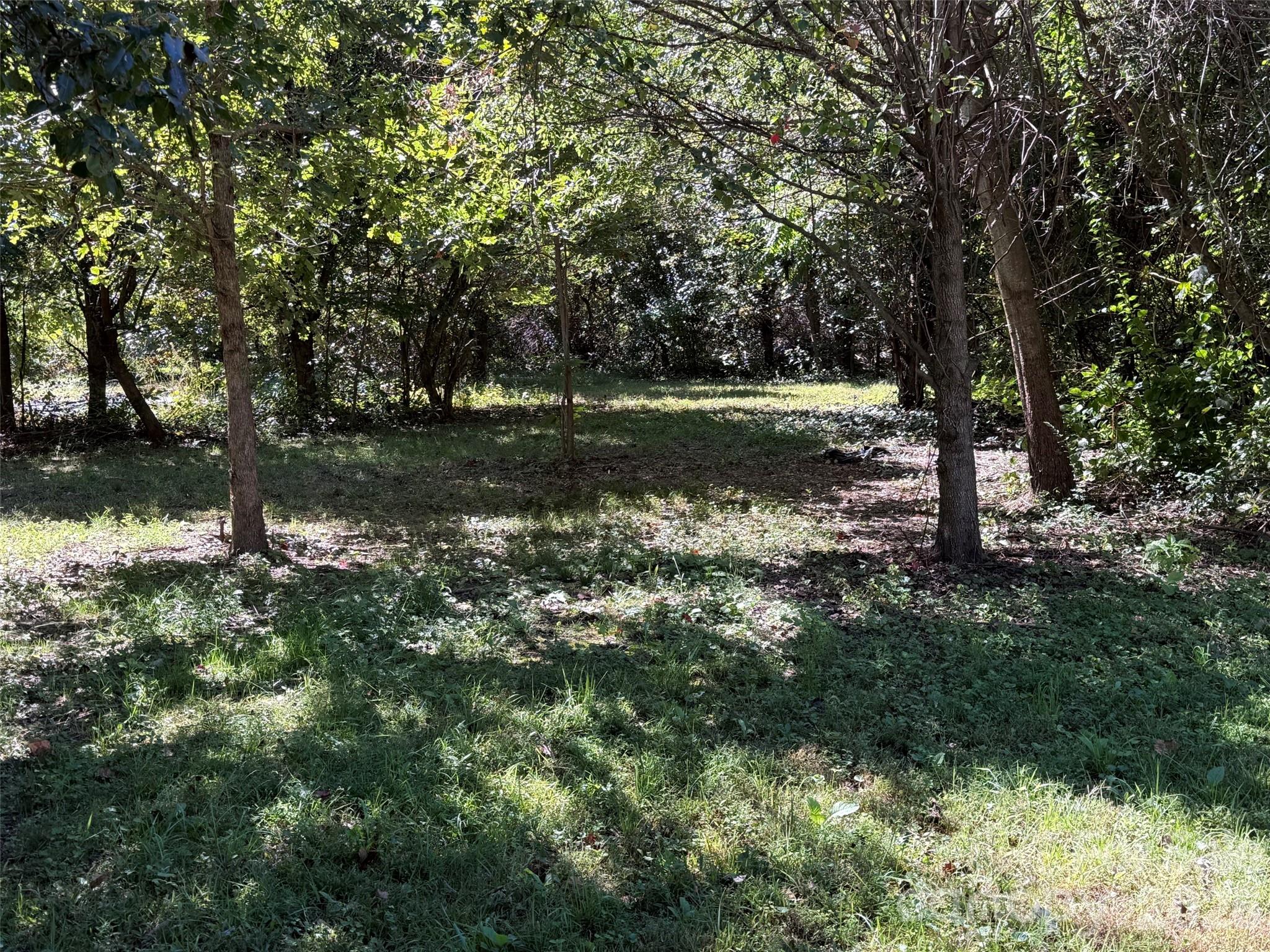 Lot A Bronco Pass Property Photo 5
