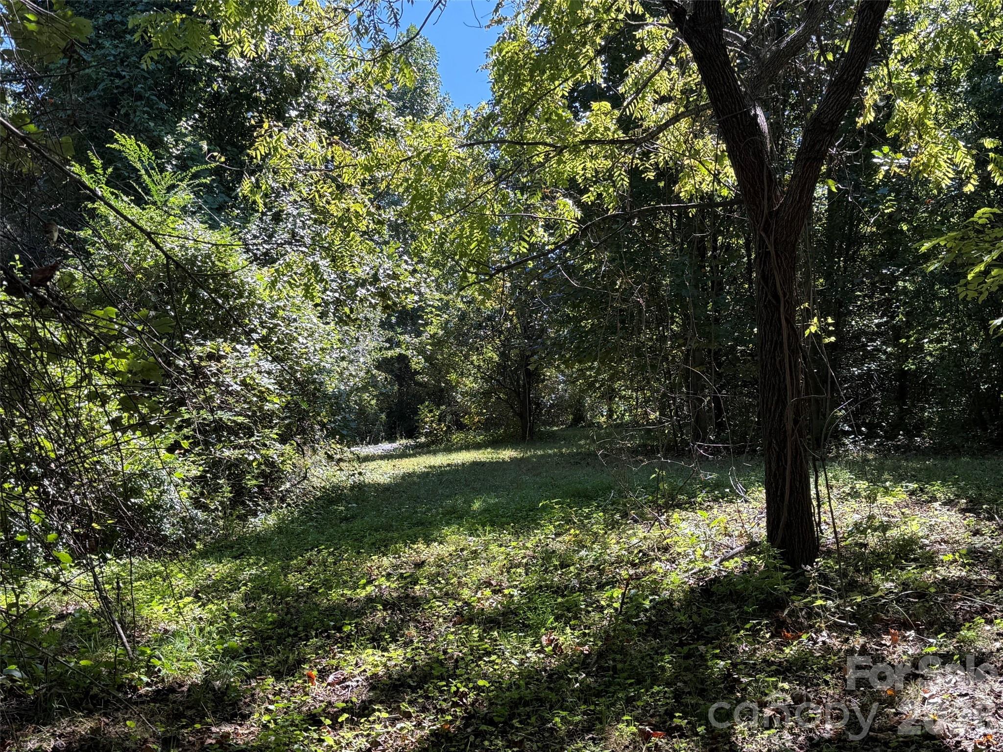 Lot A Bronco Pass Property Photo 7