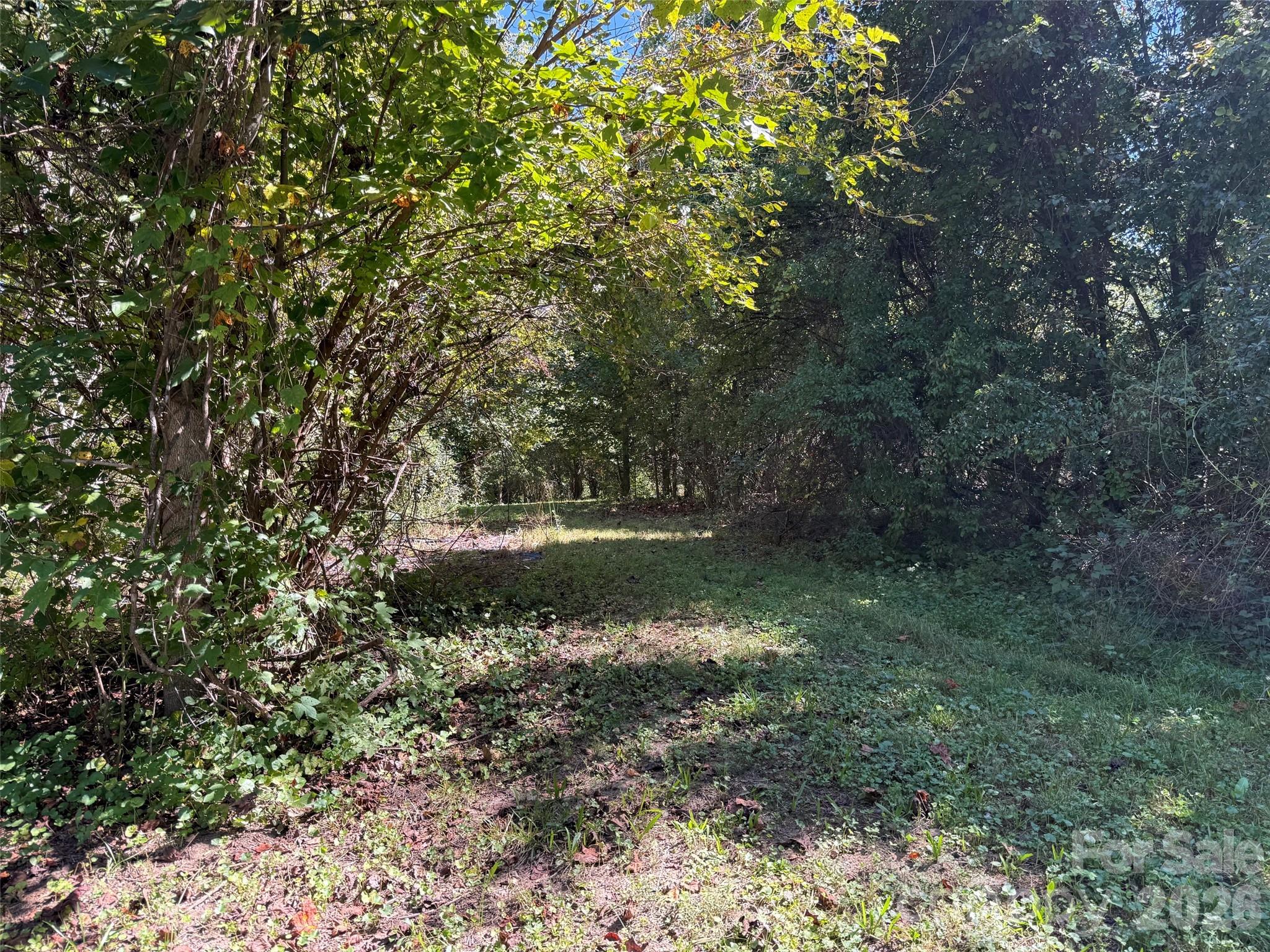 Lot A Bronco Pass Property Photo 8
