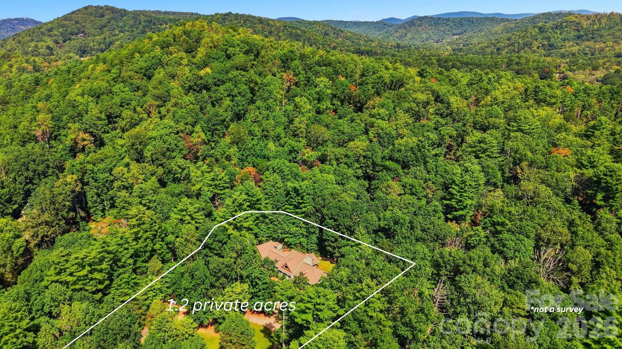 450 Mills Gap Road Property Photo 45