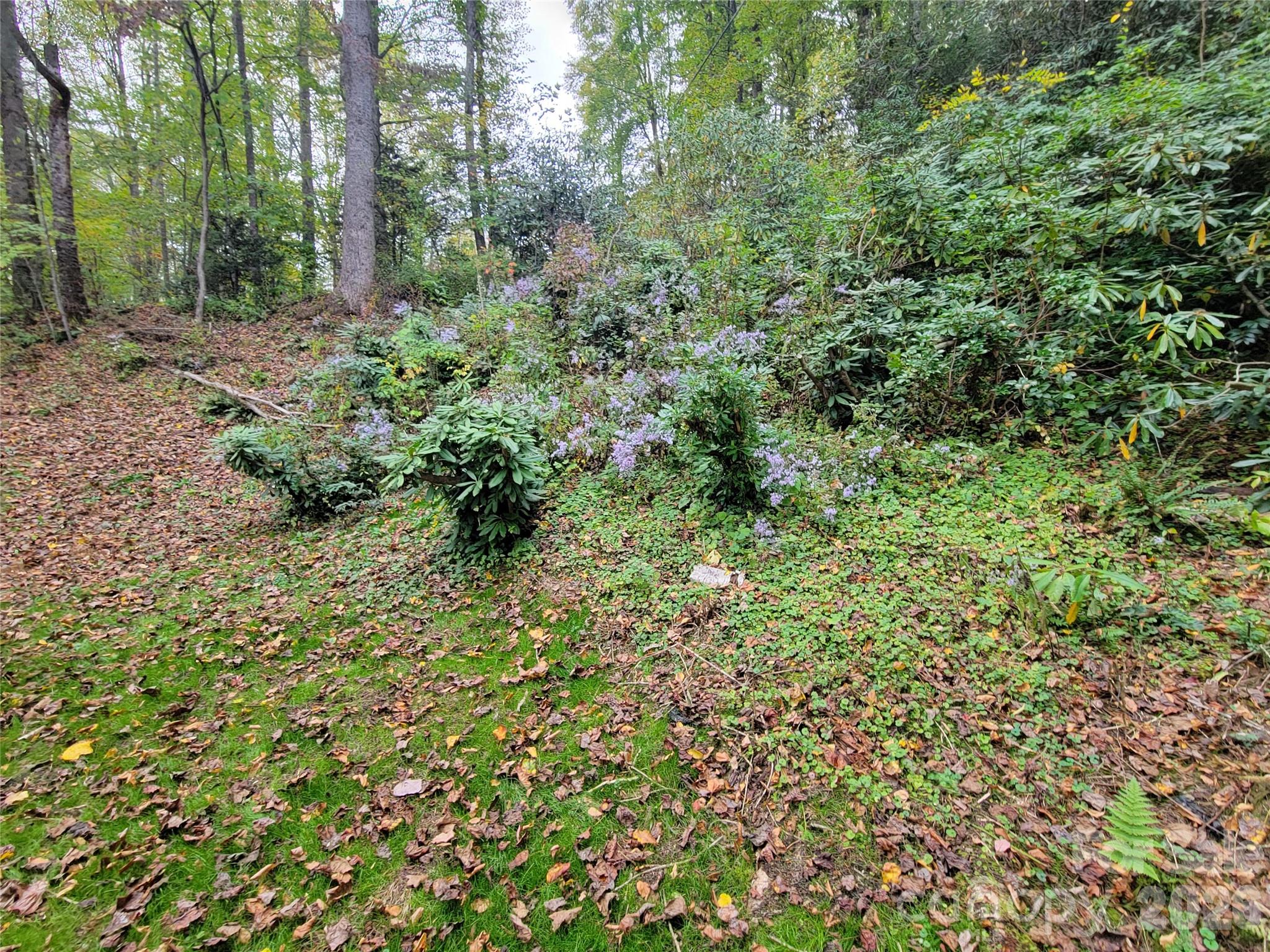 1061 Caldwell Drive Property Photo 10
