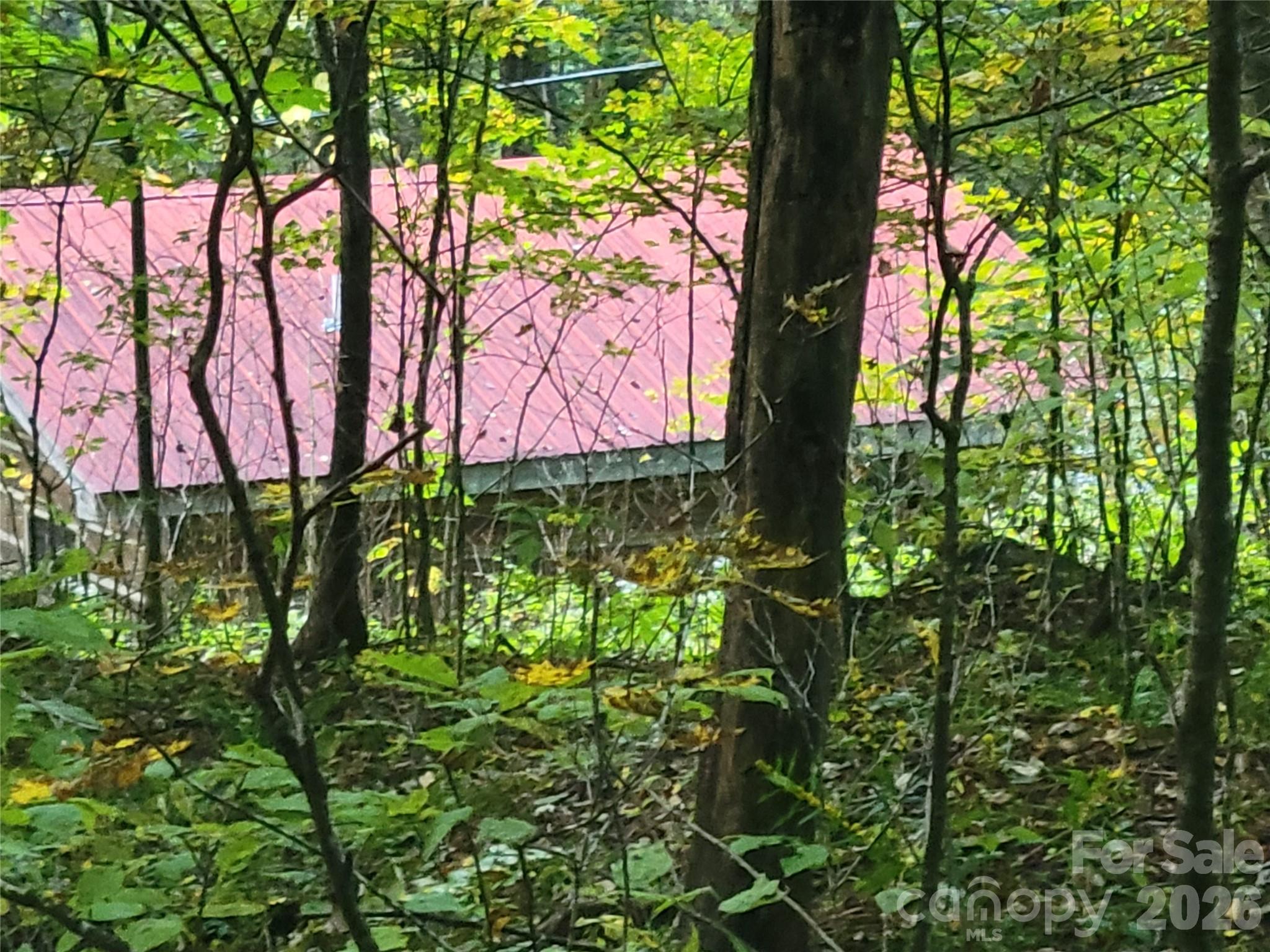 1061 Caldwell Drive Property Photo 34