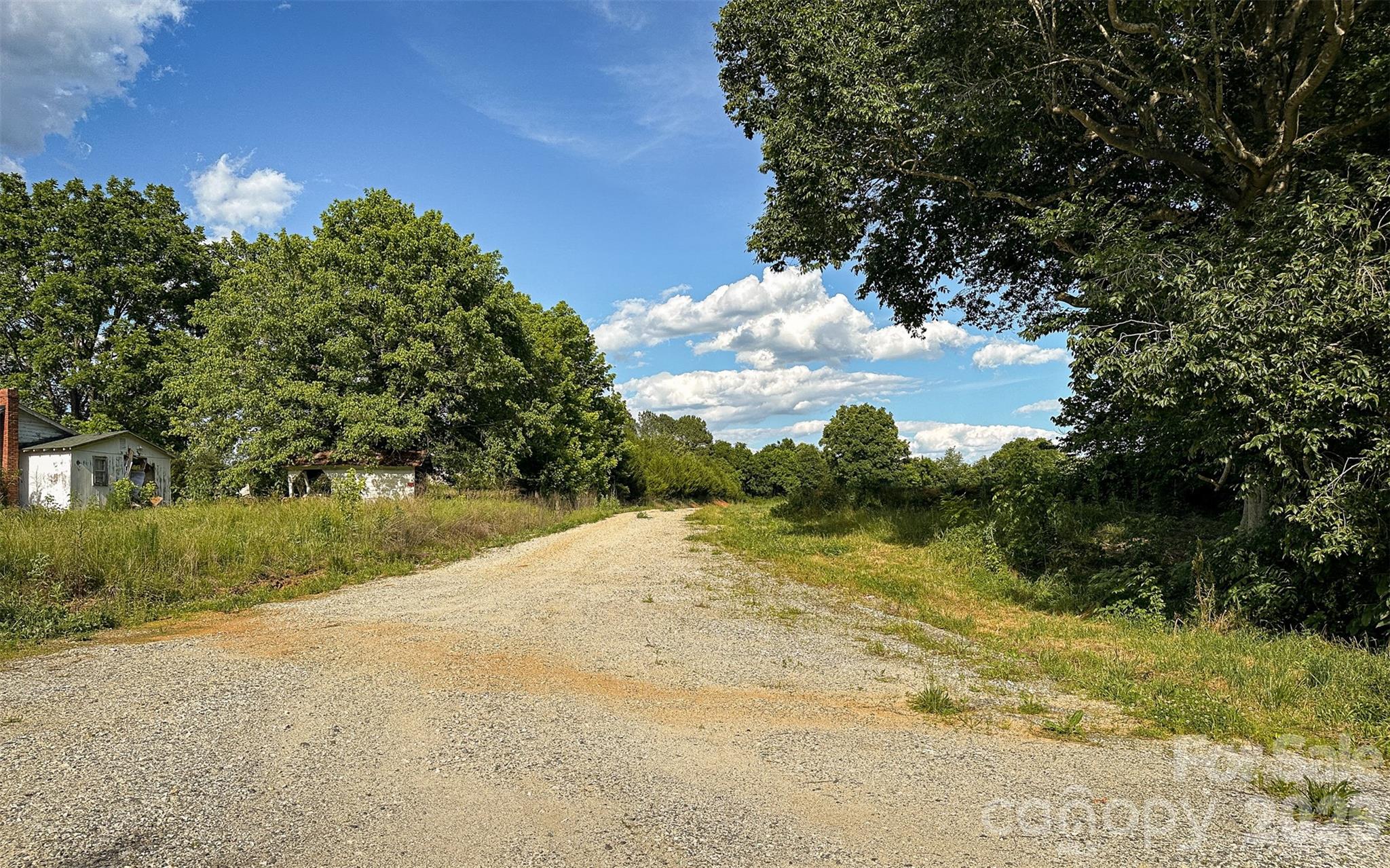 931 Mt Vernon Road Property Photo 4