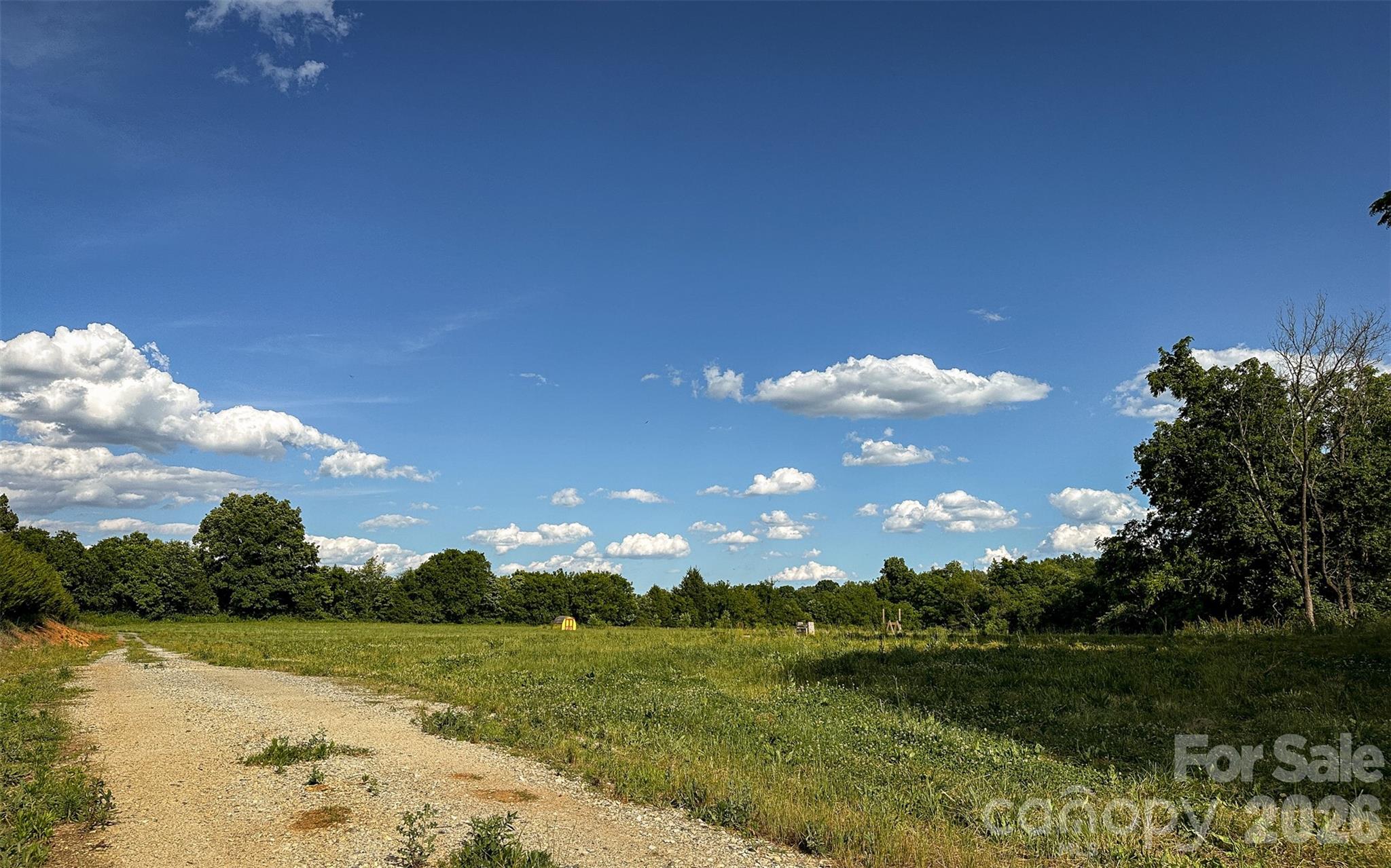931 Mt Vernon Road Property Photo 5