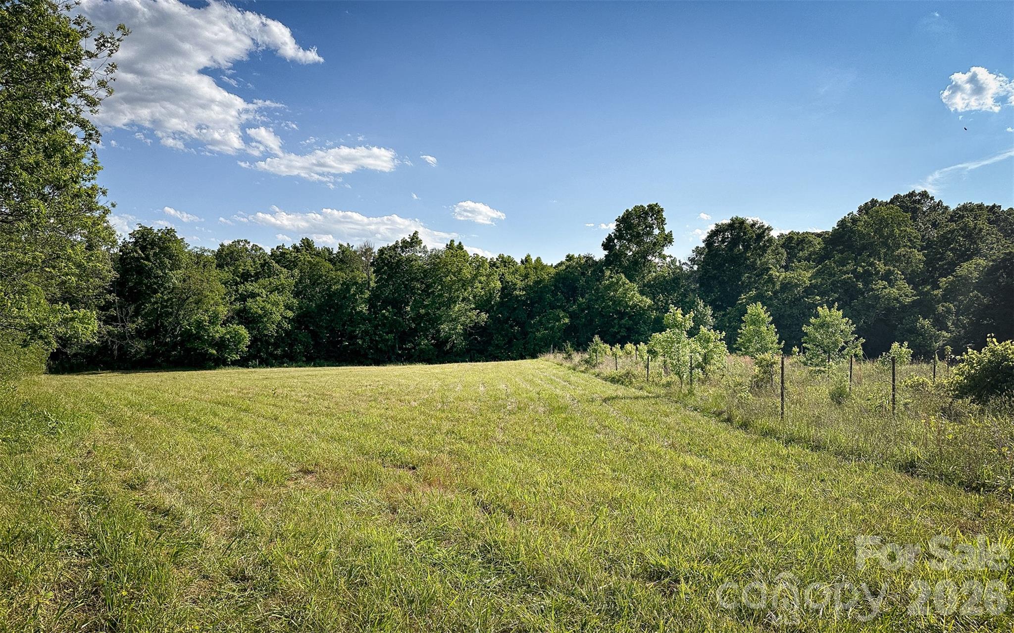 931 Mt Vernon Road Property Photo 19
