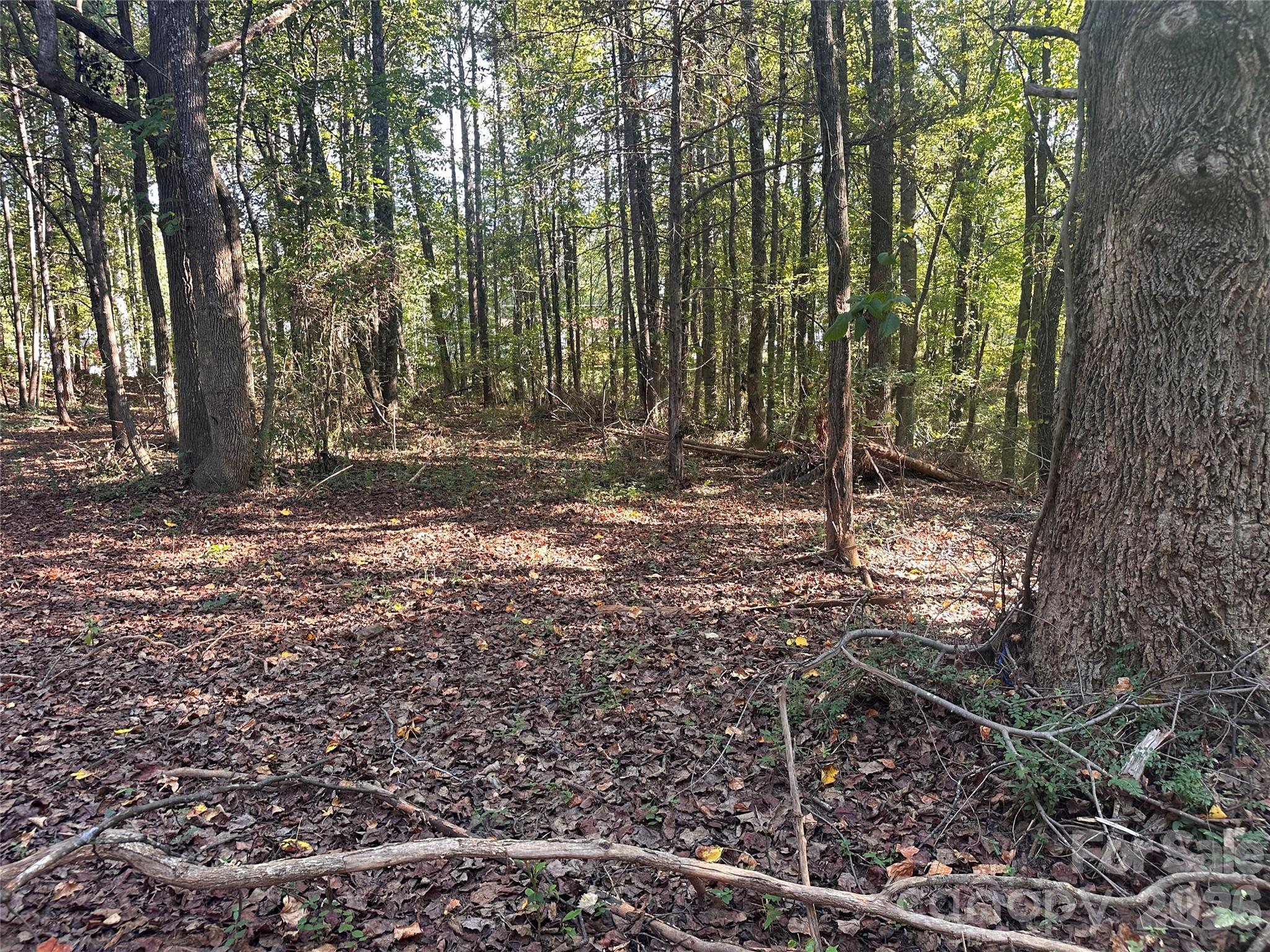 86 Sunrise Trail Property Photo 1