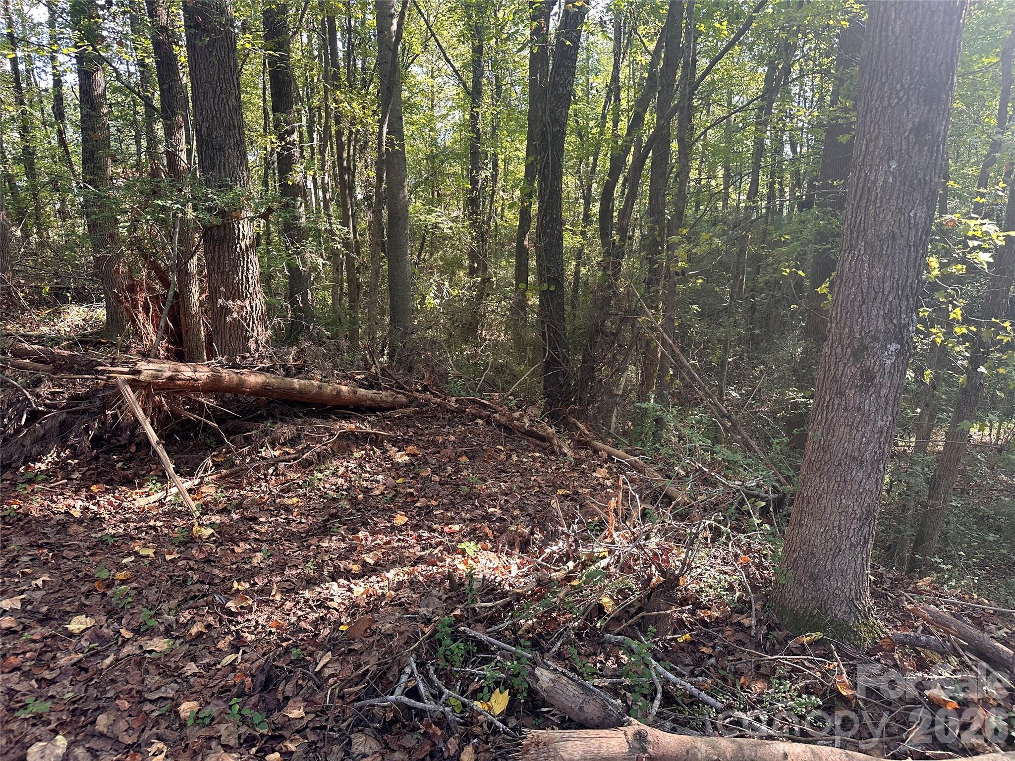 86 Sunrise Trail Property Photo 2