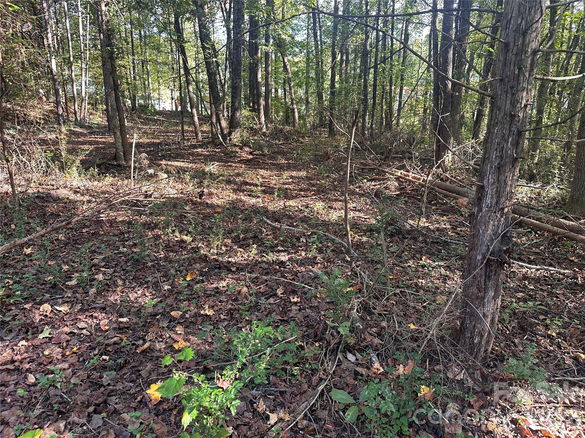 86 Sunrise Trail Property Photo 3