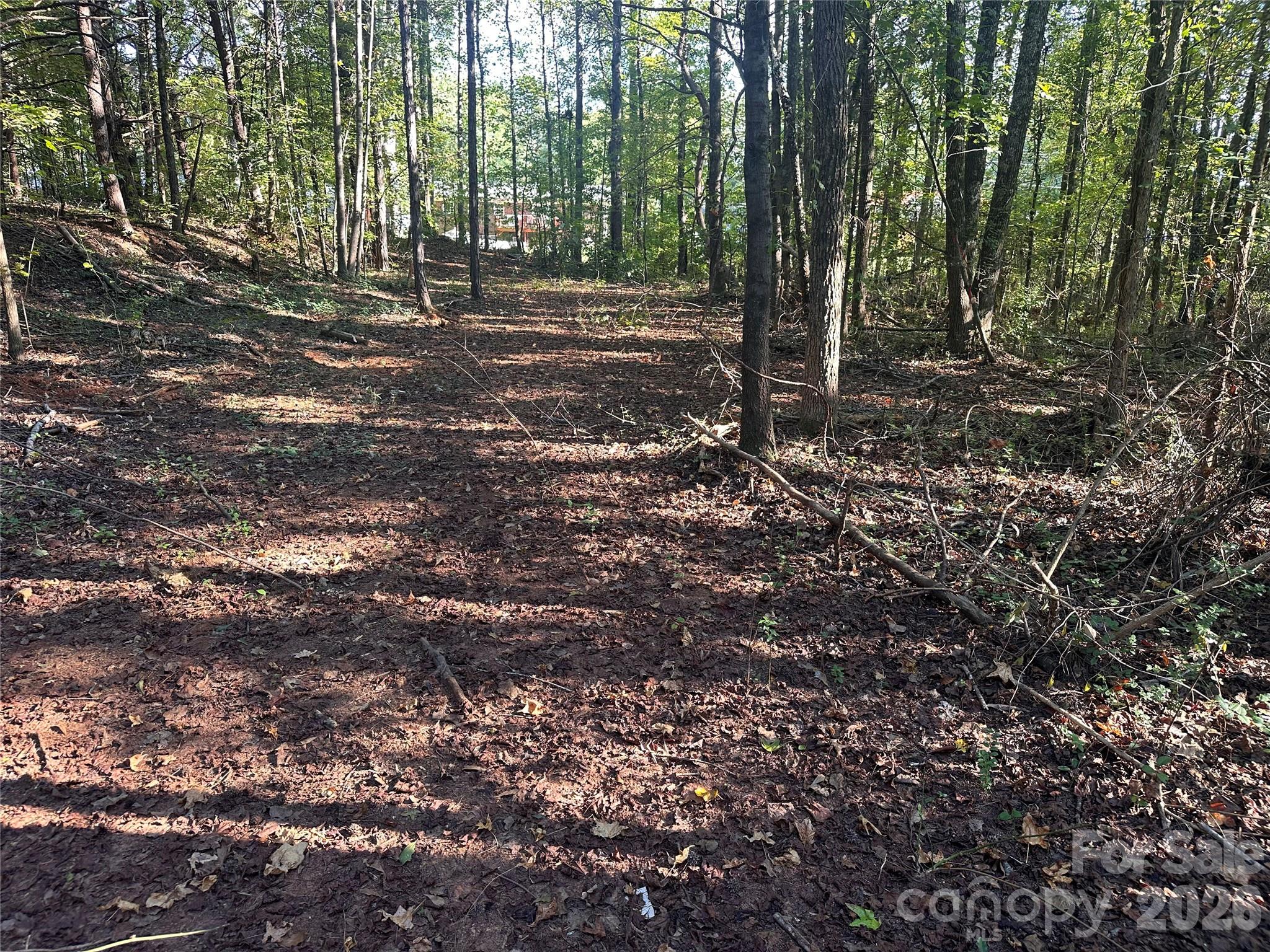 86 Sunrise Trail Property Photo 4