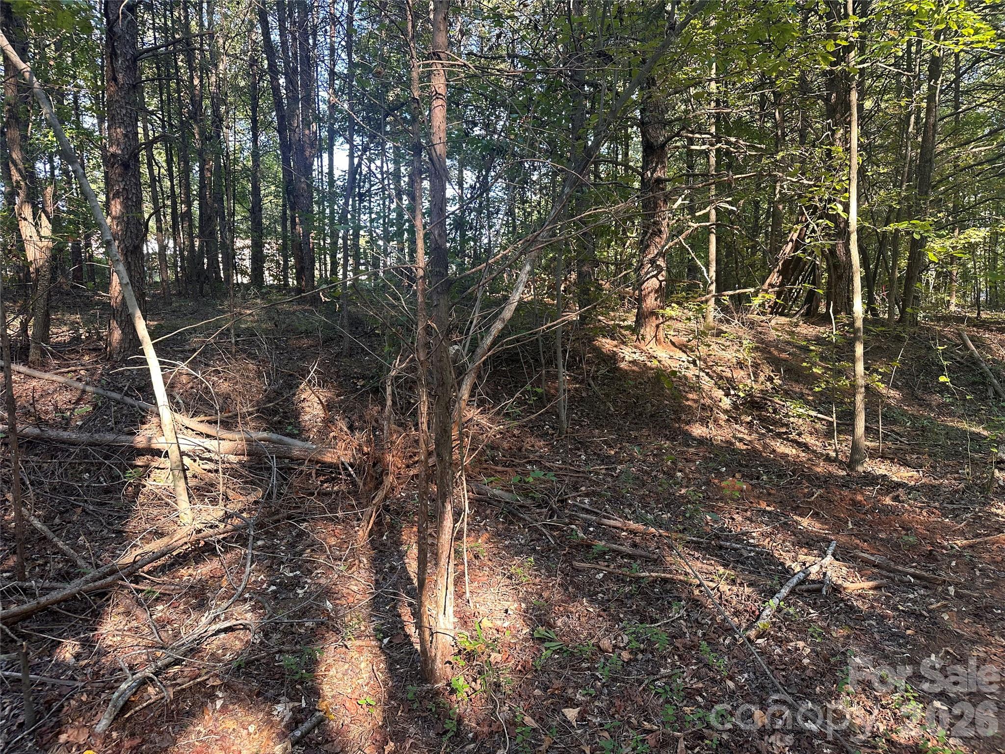 86 Sunrise Trail Property Photo 5