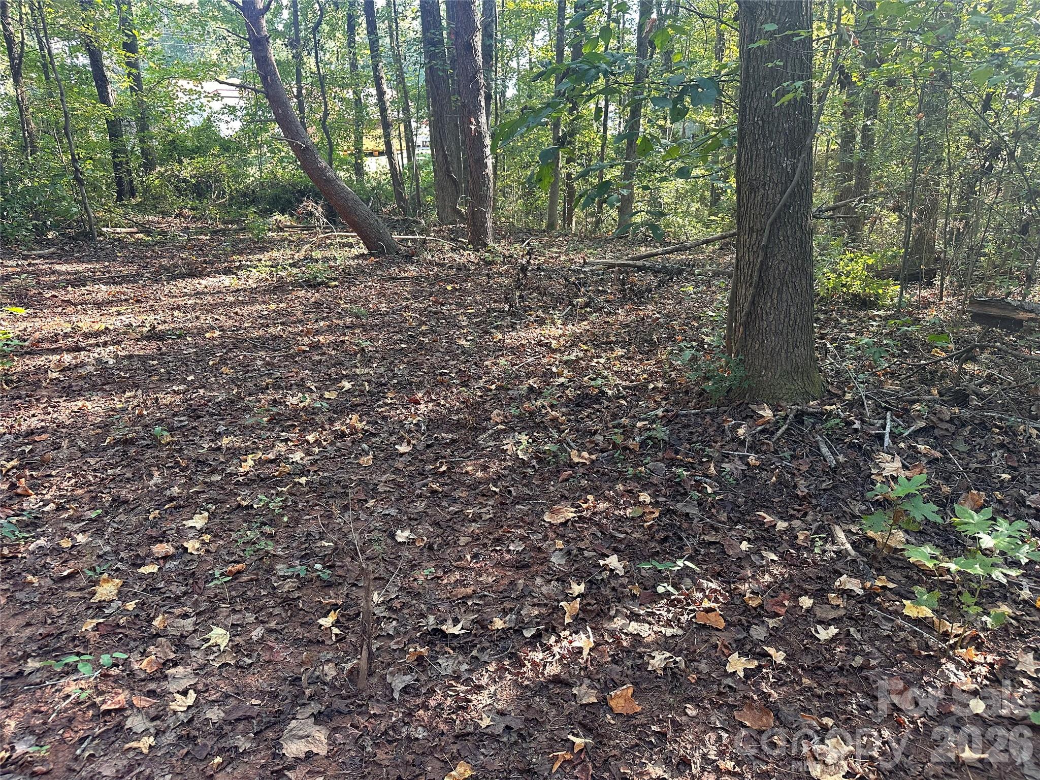 86 Sunrise Trail Property Photo 6