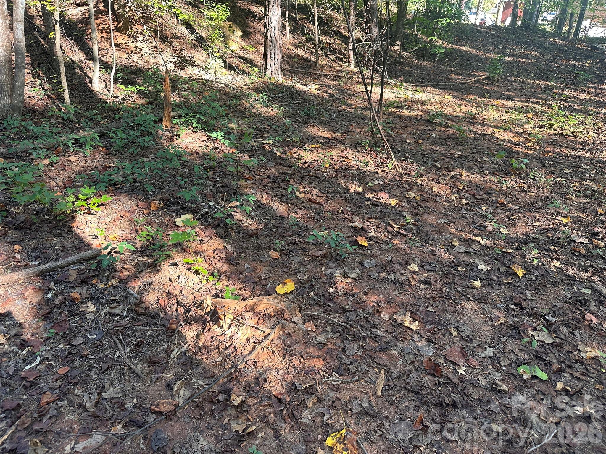 86 Sunrise Trail Property Photo 7