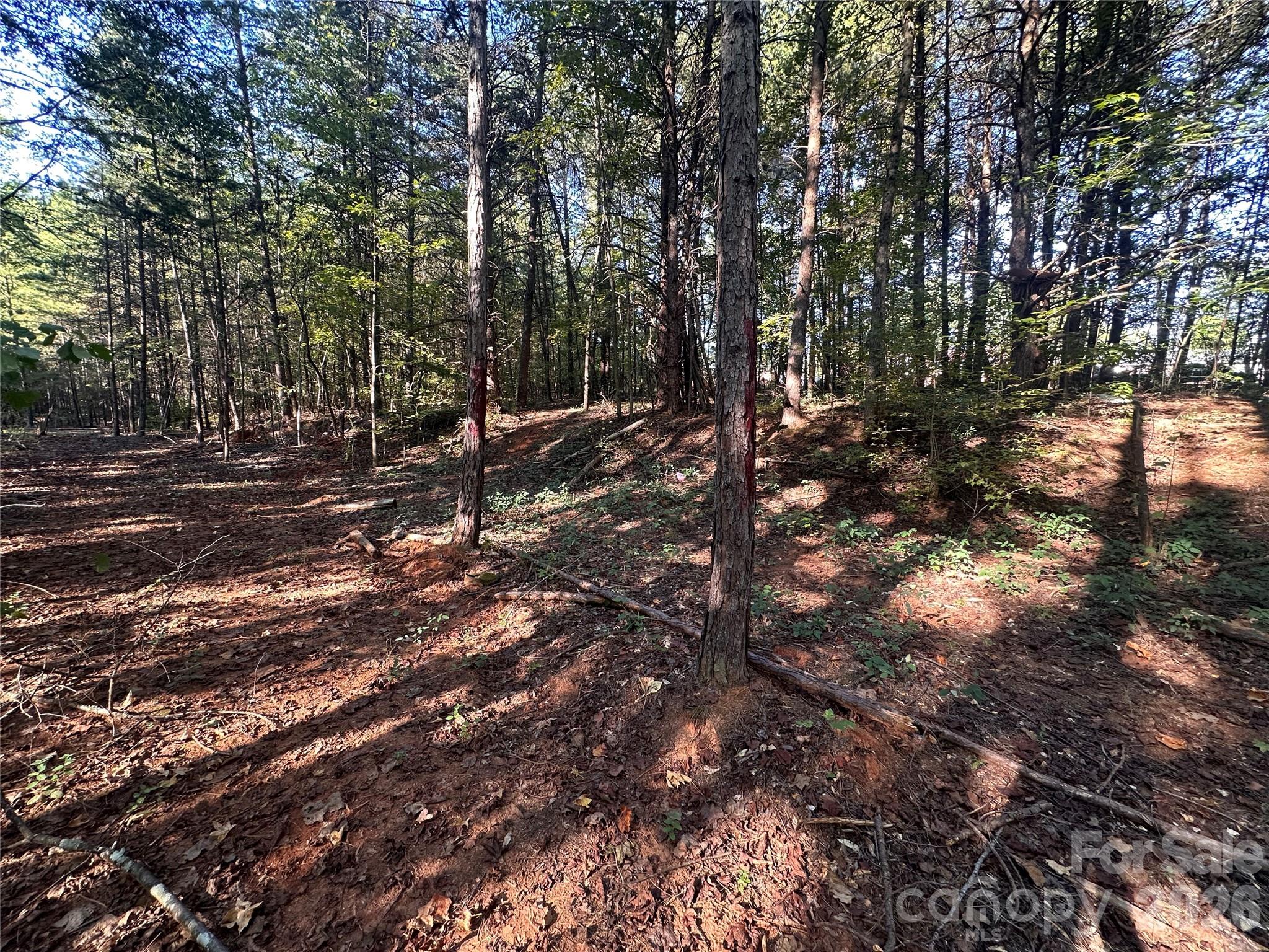 86 Sunrise Trail Property Photo 8