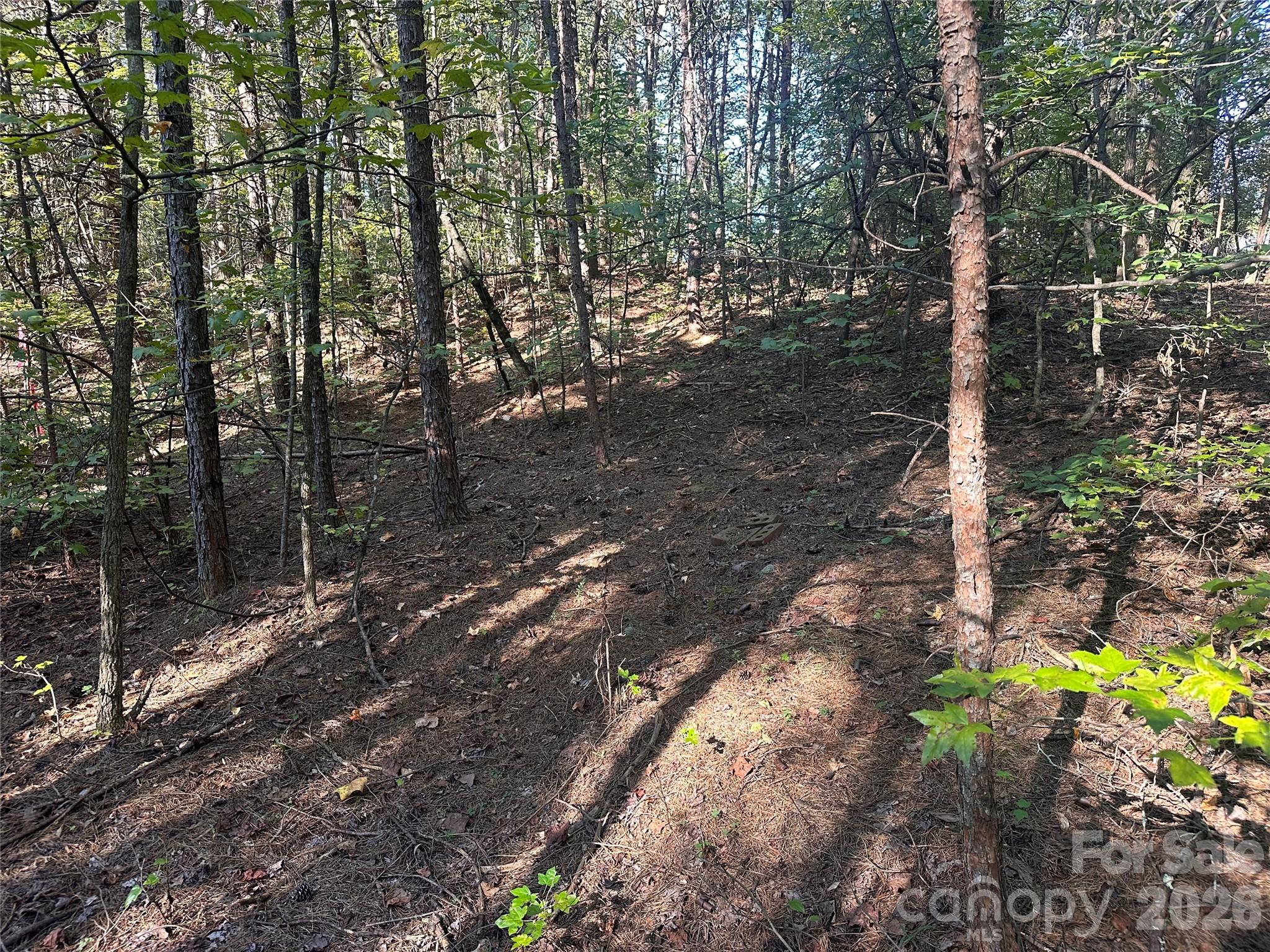 86 Sunrise Trail Property Photo 9